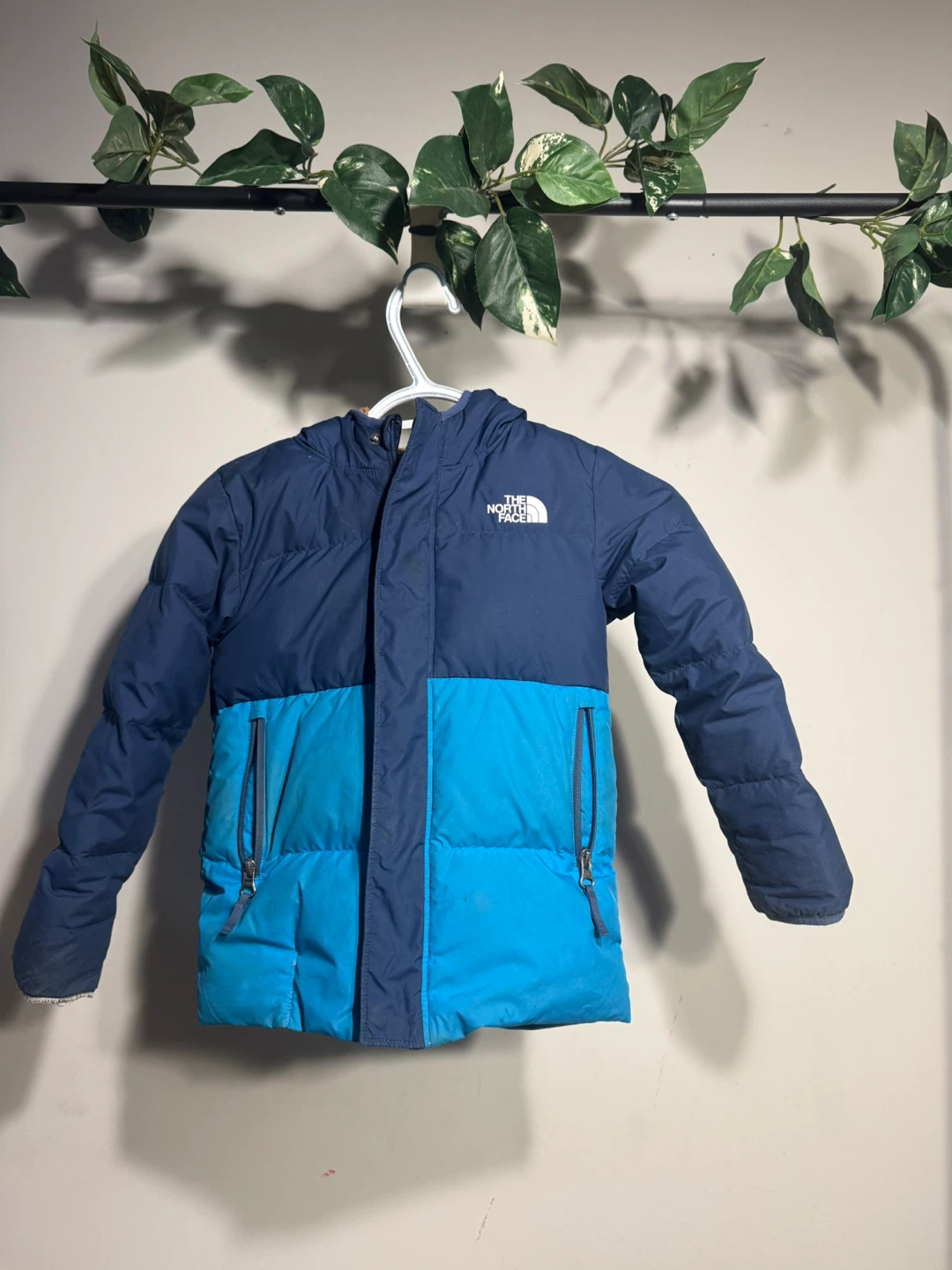 The North Face Puffer Jacket - Blue/Teal