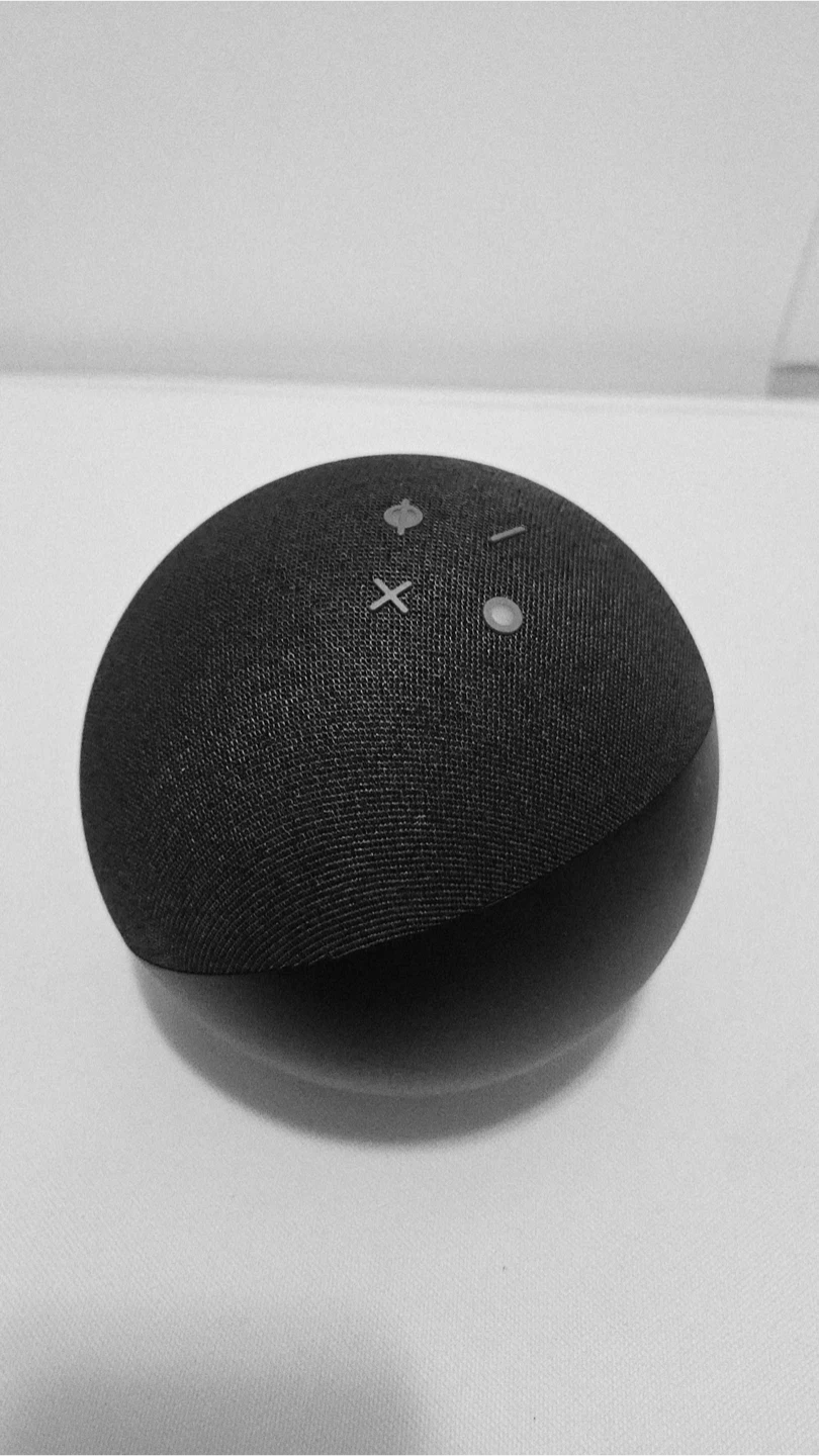 Amazon Echo Dot (4th Gen) Smart Speaker