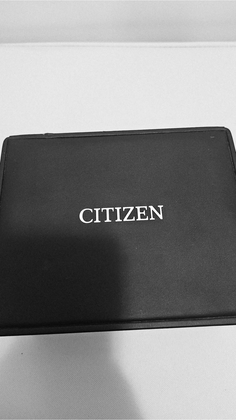 Citizen Eco-Drive Perpetual Chrono A-T Watch
