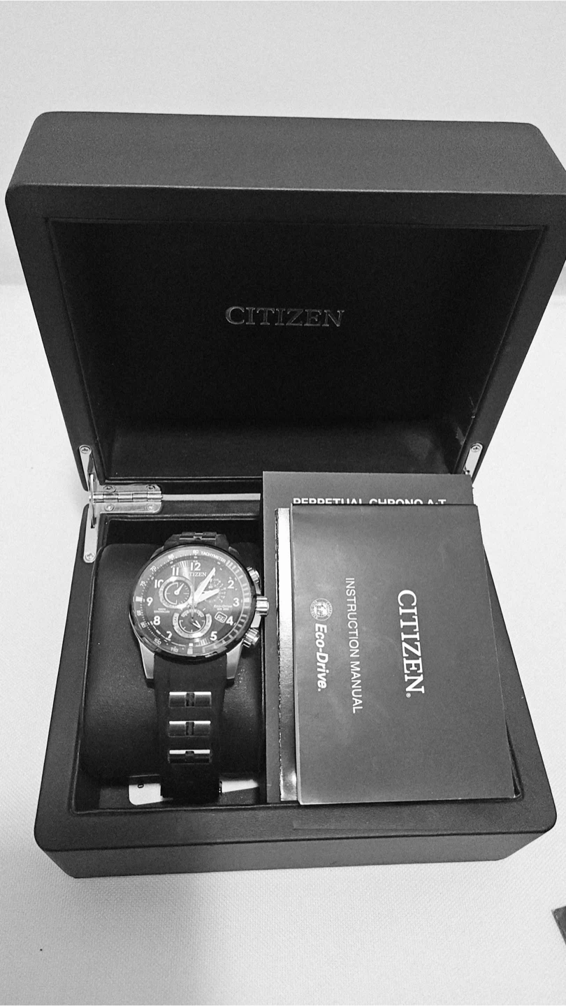 Citizen Eco-Drive Perpetual Chrono A-T Watch - photo 3