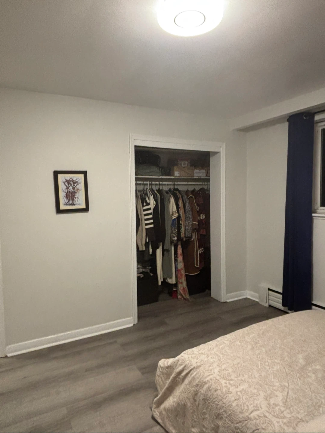 Room for Rent - Female Student/ professional (Available May 1st) - photo 4