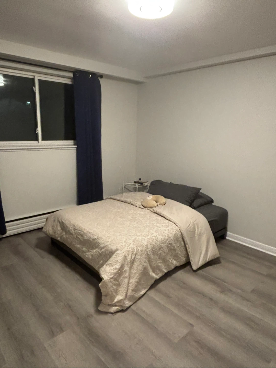 Room for Rent - Female Student/ professional (Available May 1st)
