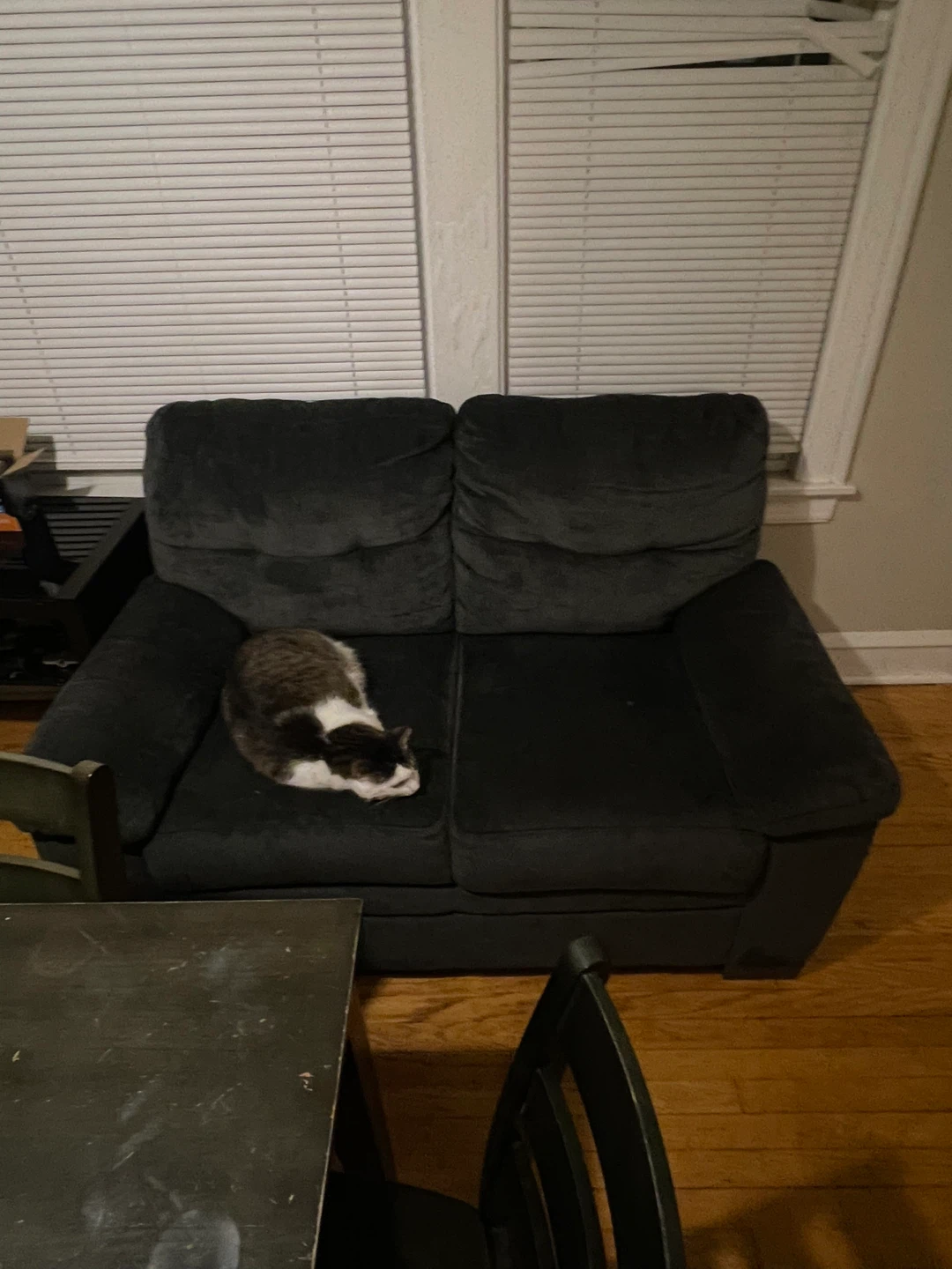 Dark Gray Sofa-need out before mar 24 - photo 3