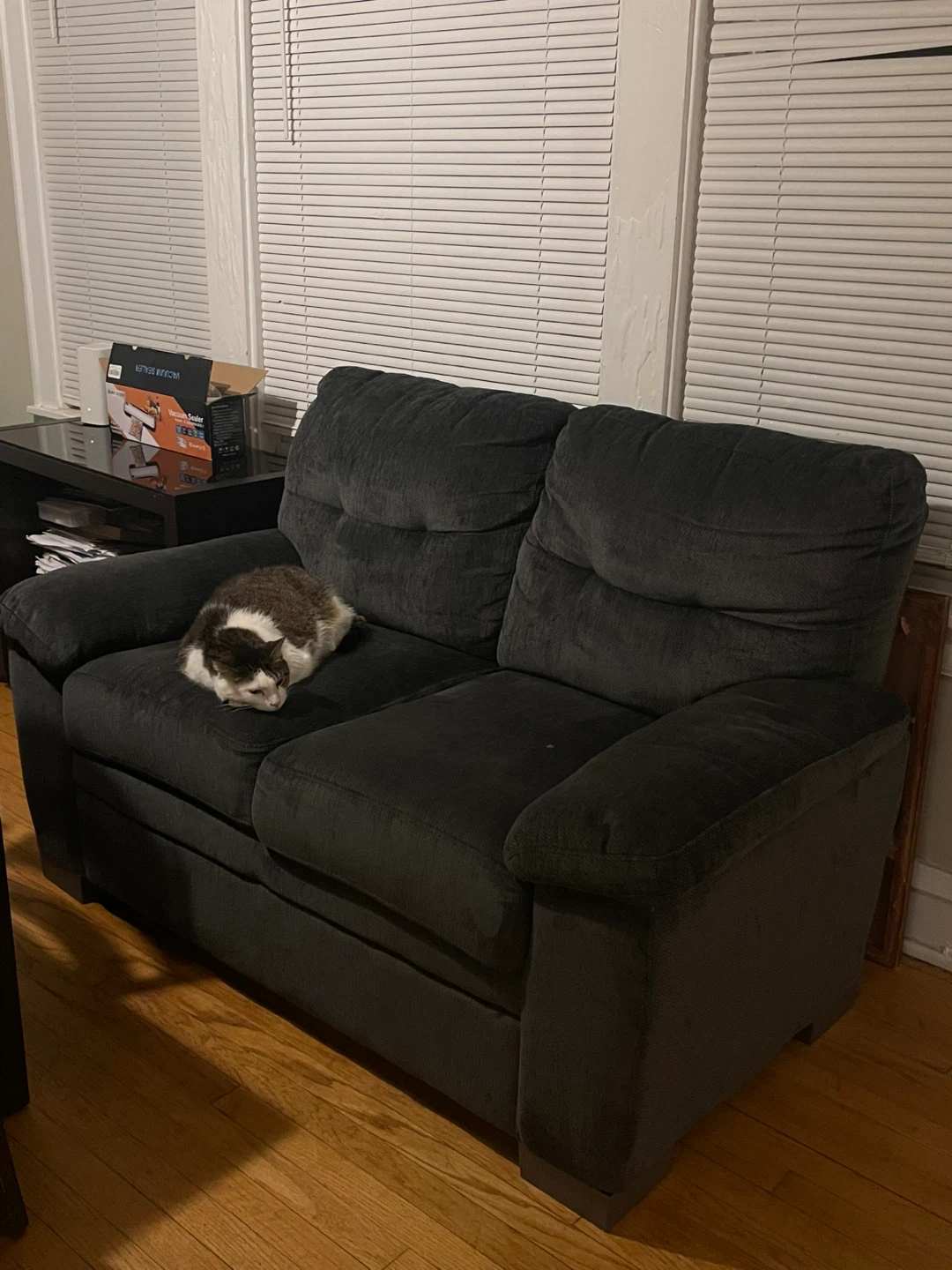Dark Gray Sofa-need out before mar 24