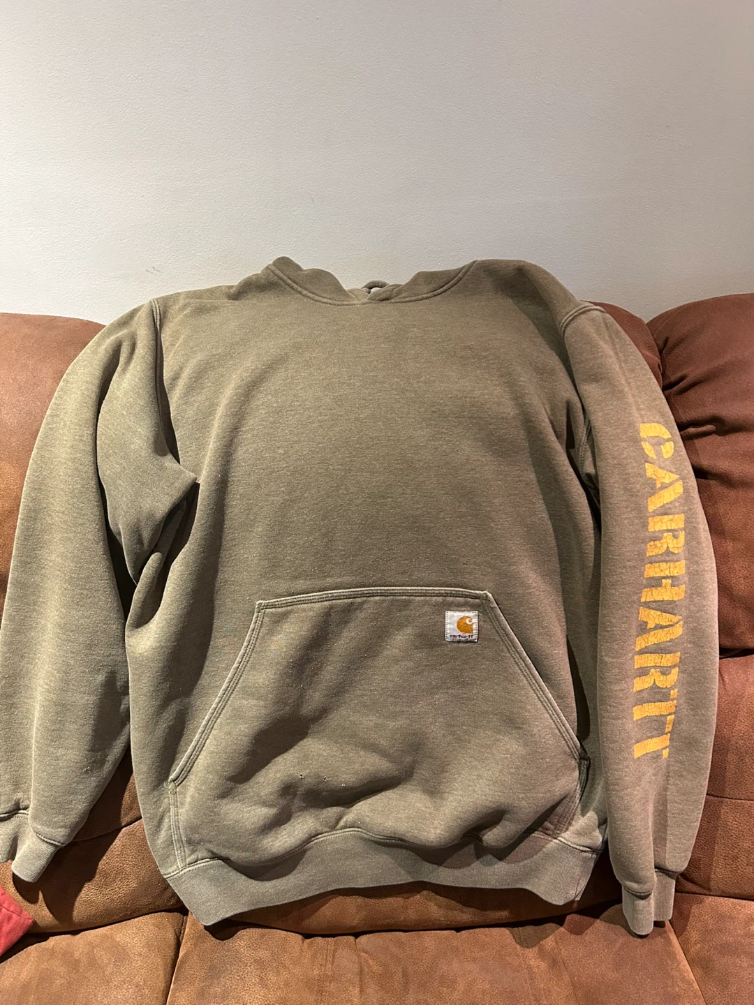Carhartt "Proud Kid of the PB&J Show" Hoodie - Size M