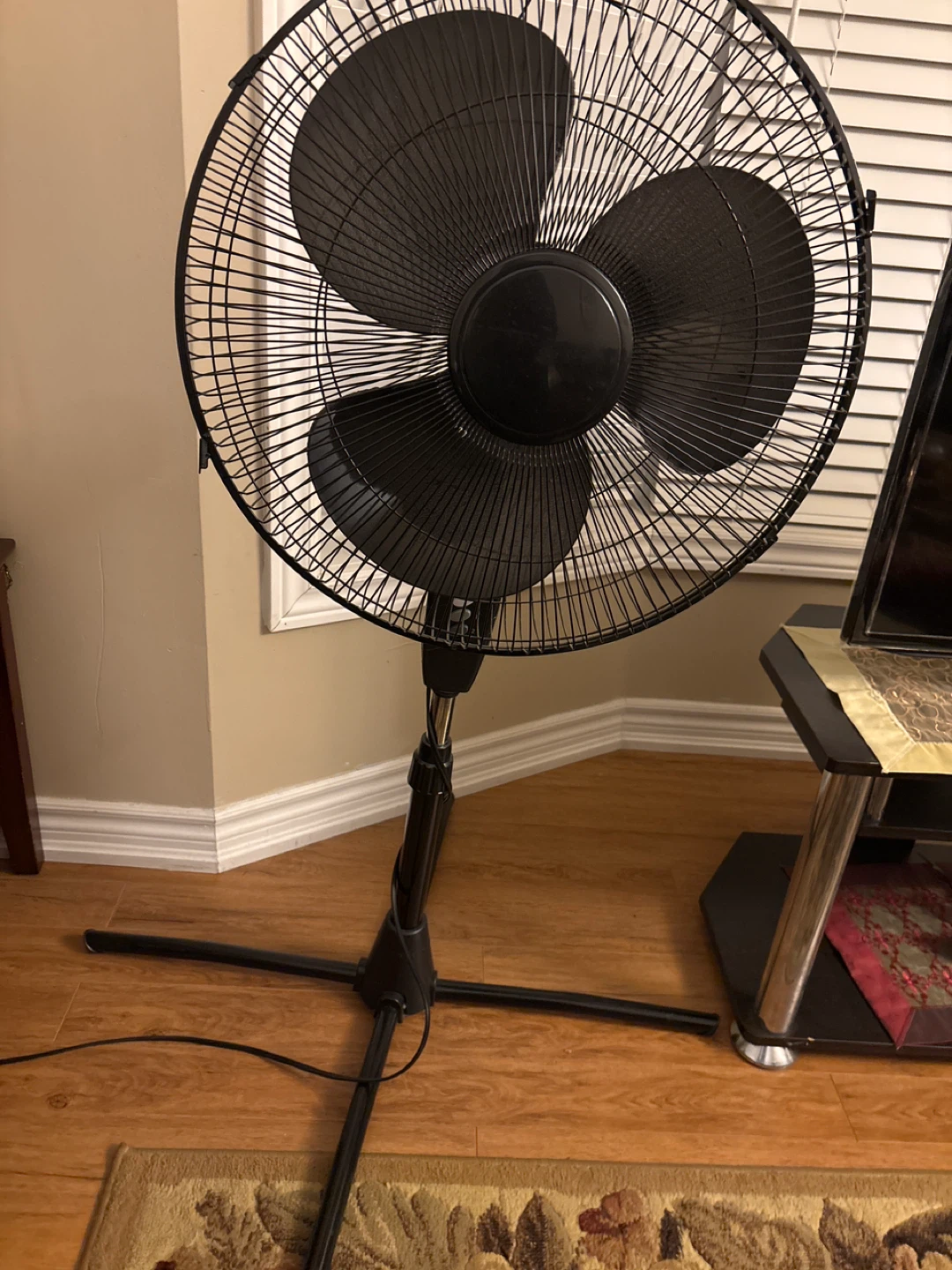 Black Standing Fan