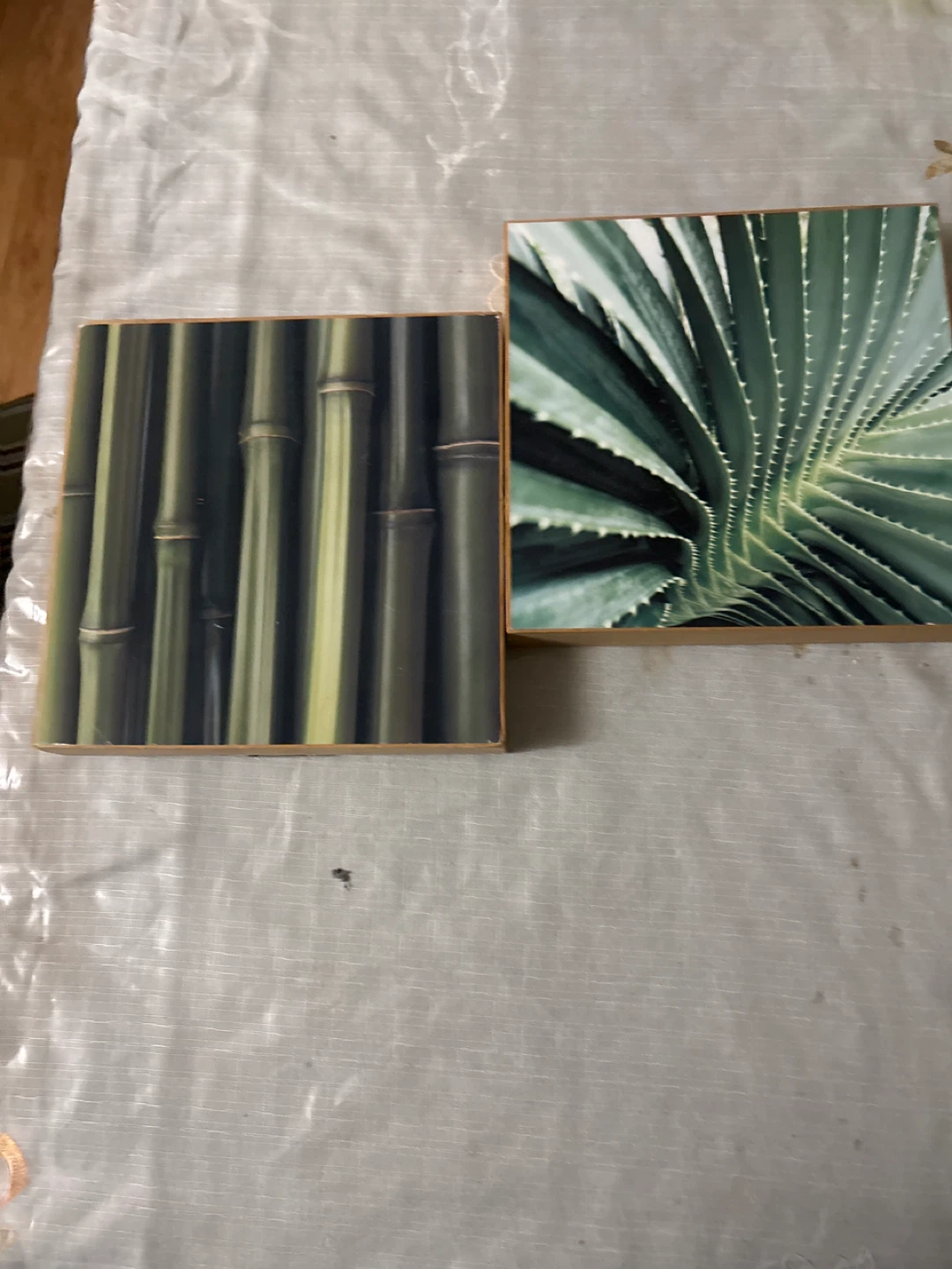 Set of 2 Wood Wall Art Prints - Bamboo & Agave