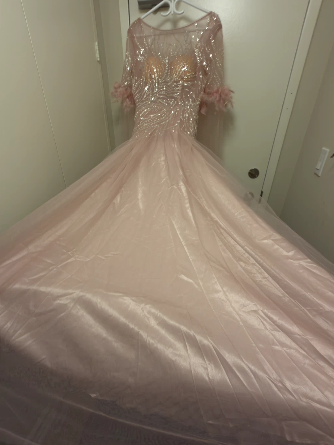 Pink Feather Formal dress - NEW - photo 4