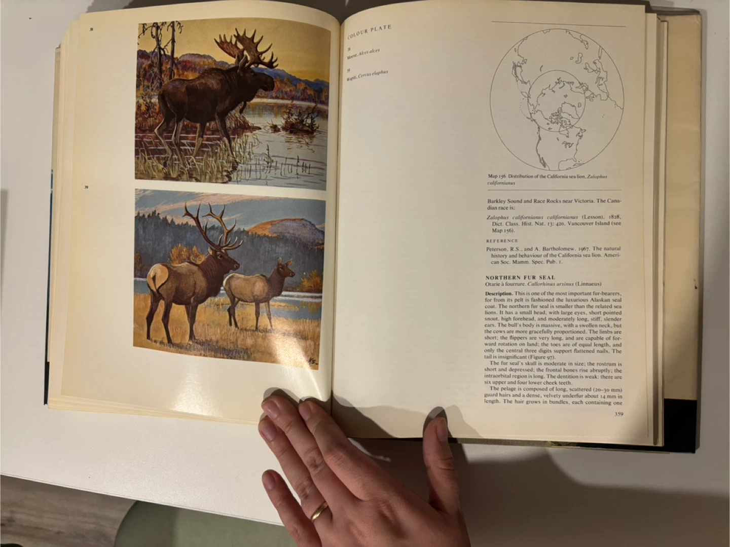 The Mammals of Canada Book by A.W.F. Banfield - photo 2