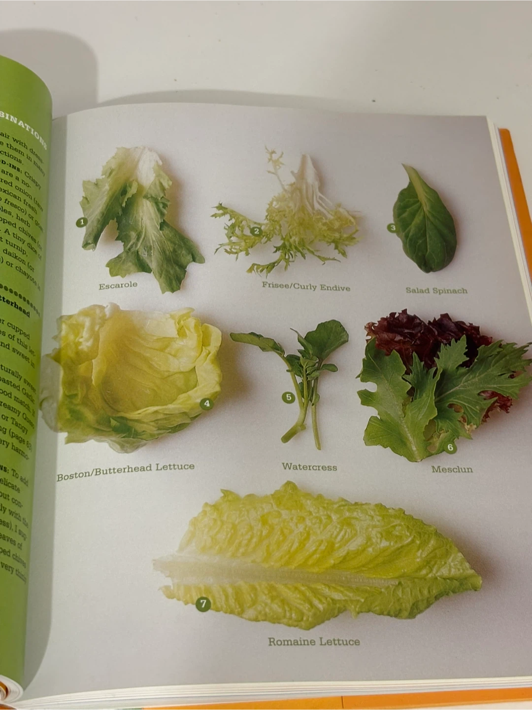 Rick Bayless Mexican Everyday Cookbook - photo 4