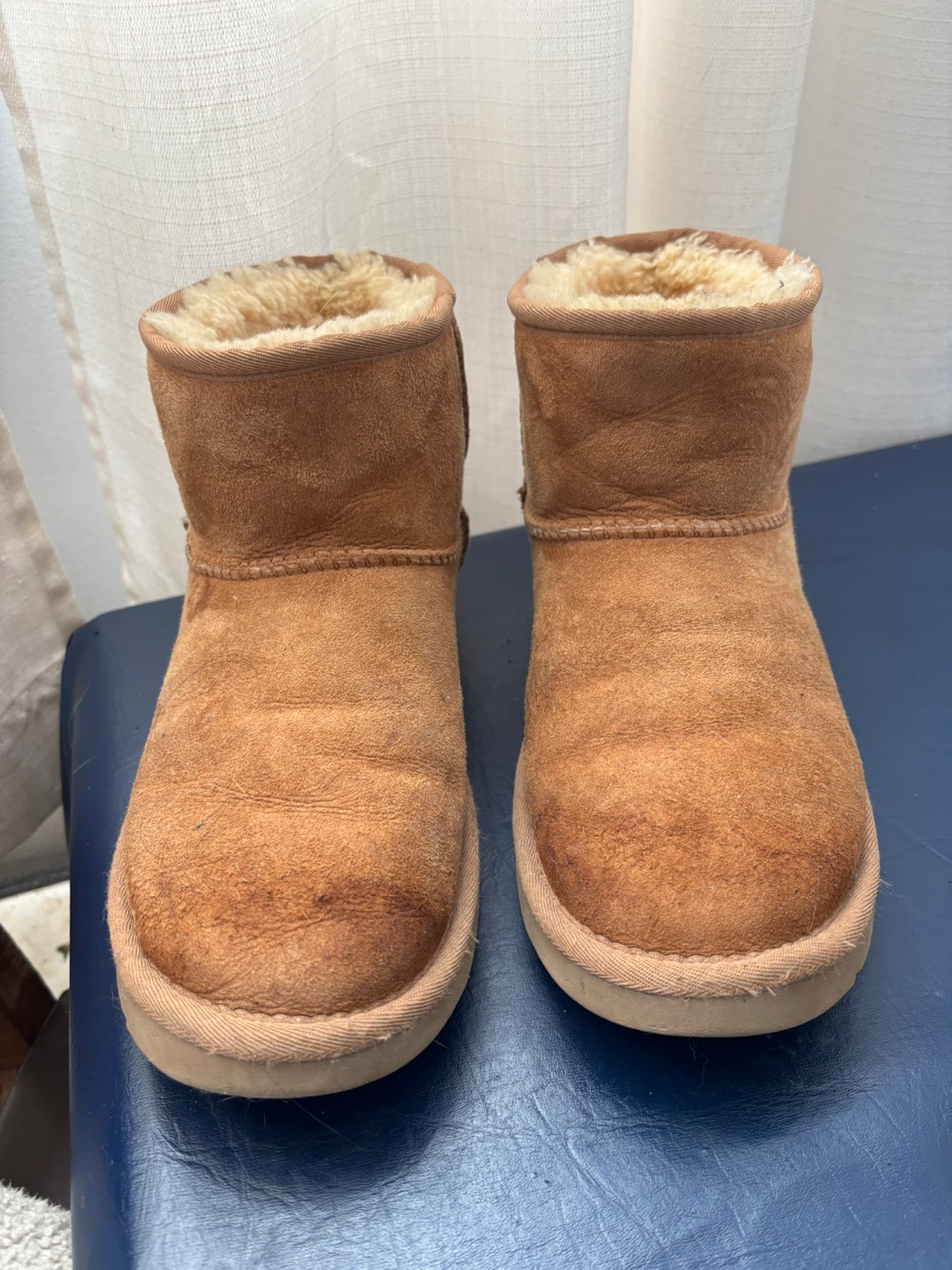 UGG Mini Boots