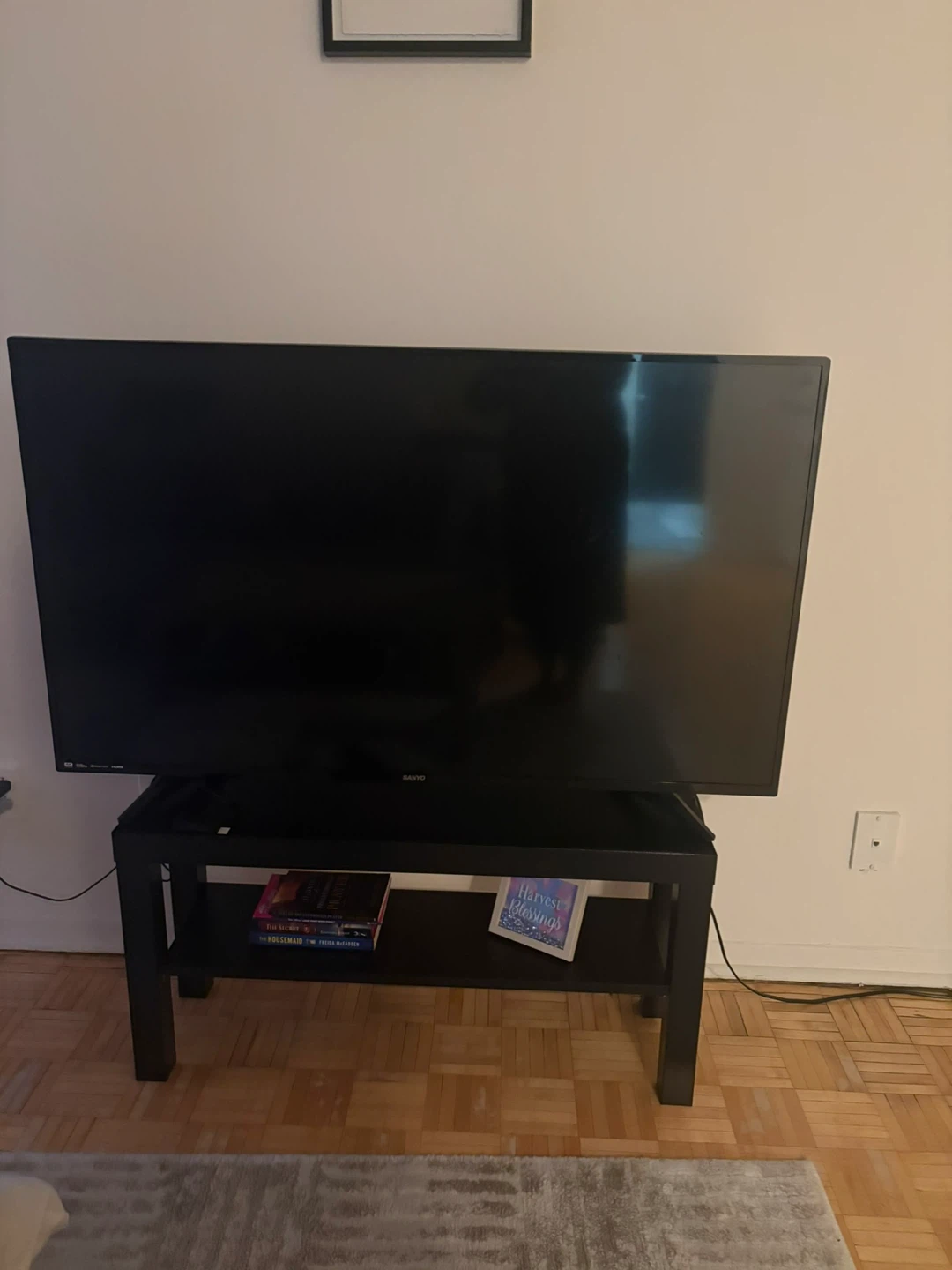 Sanyo Flat Screen TV