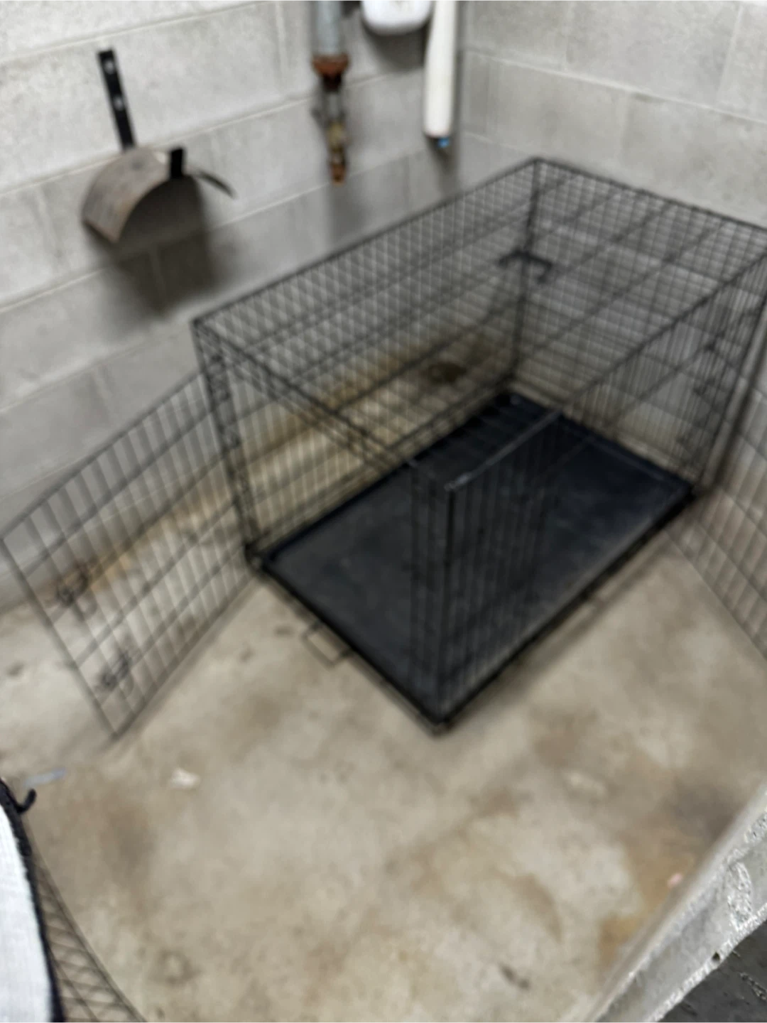 Wire Dog Crate with Tray - photo 5