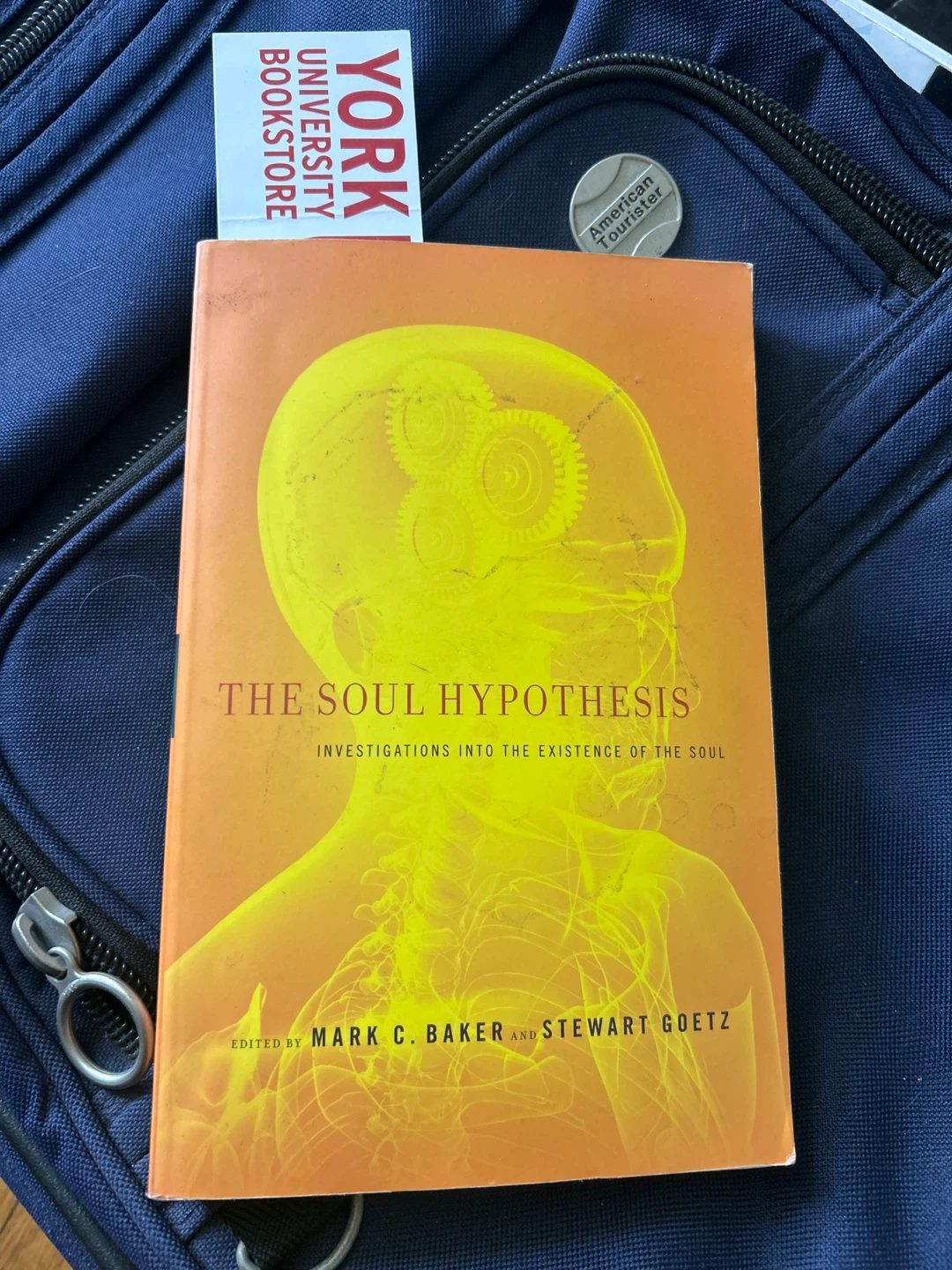 The Soul Hypothesis