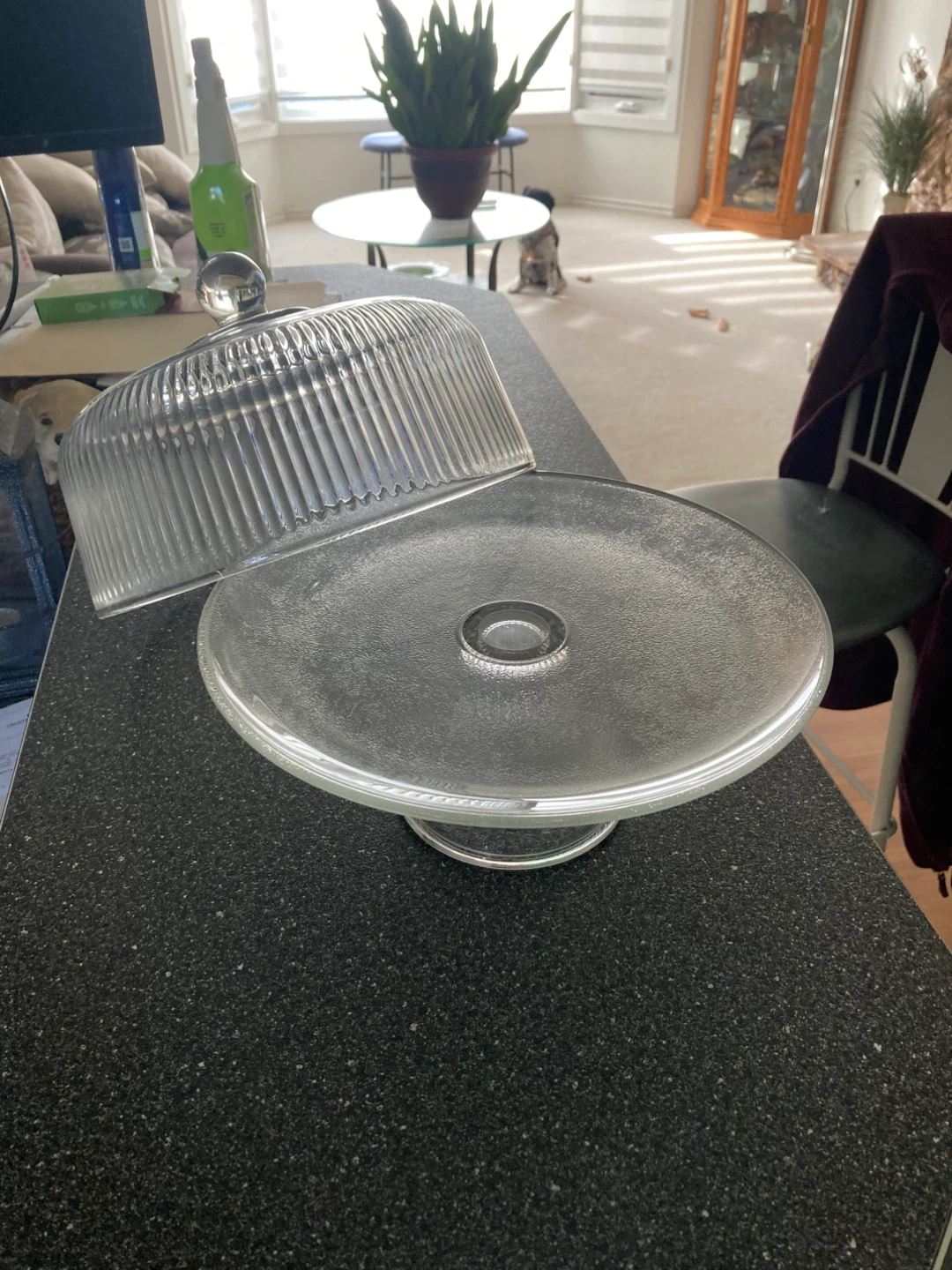 Glass Cake Stand with Dome