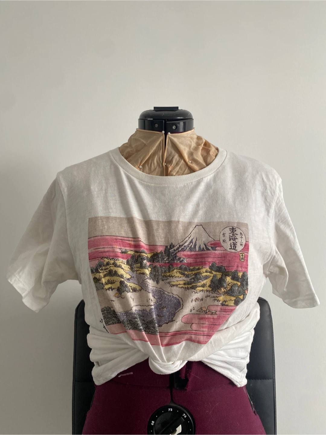 Museum of Fine Arts Print with Uniqlo
