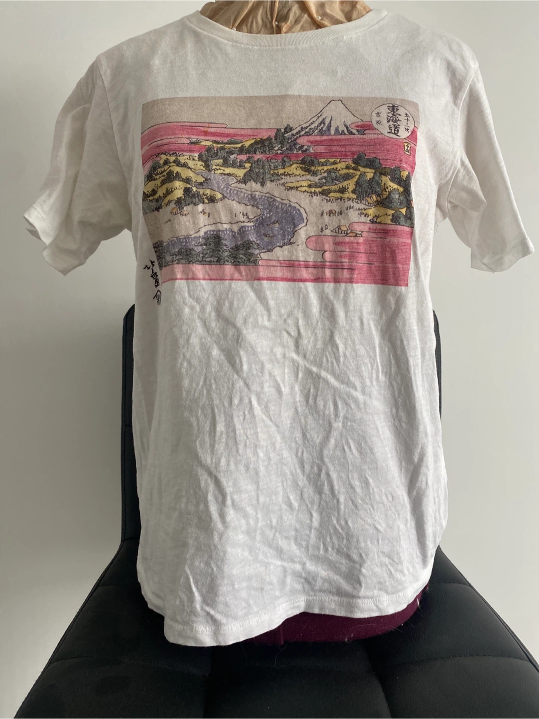 Museum of Fine Arts Print with Uniqlo - photo 2