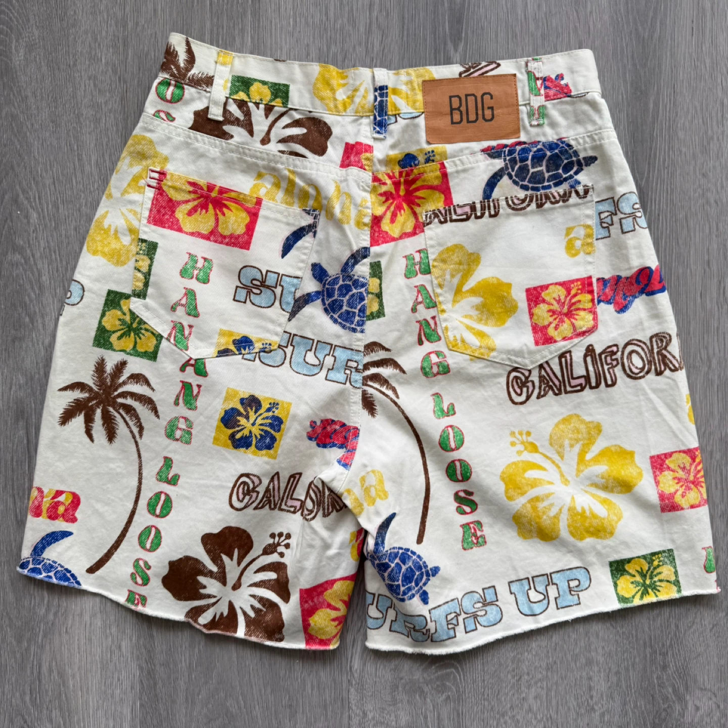 BDG California Surf Graphic Shorts - photo 4