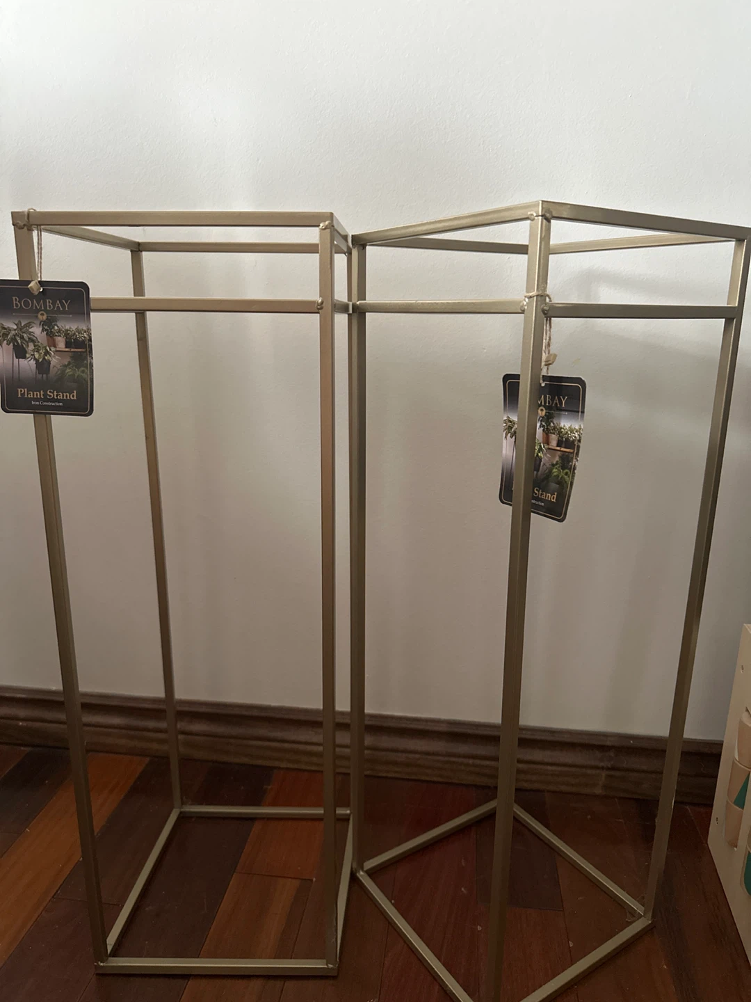 Plant, flower, floral arrangement stand