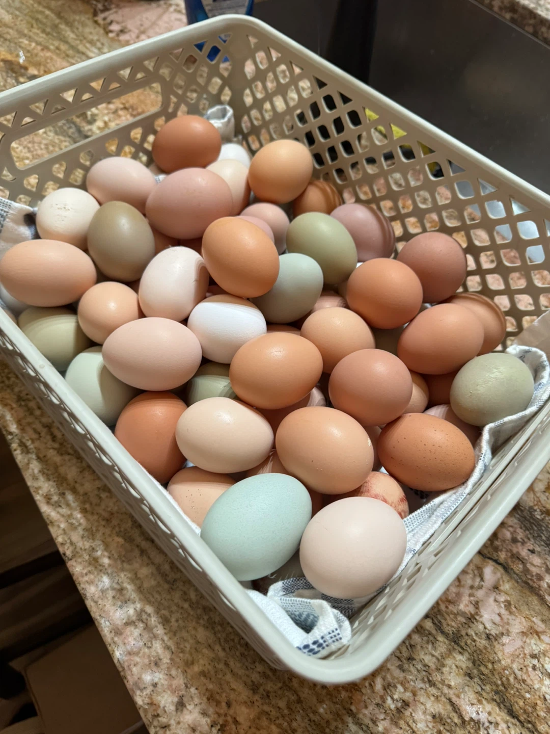 1 dozen Assorted Fresh Farm Eggs
