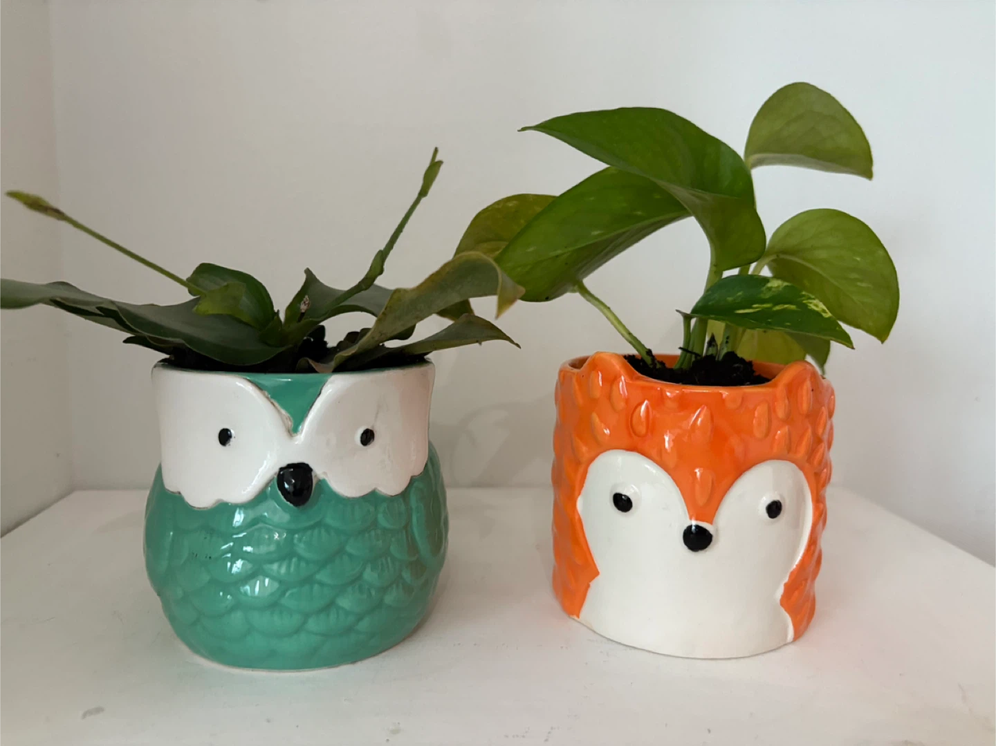 Two little cuties bringing good vibes into your home 🦊🦉