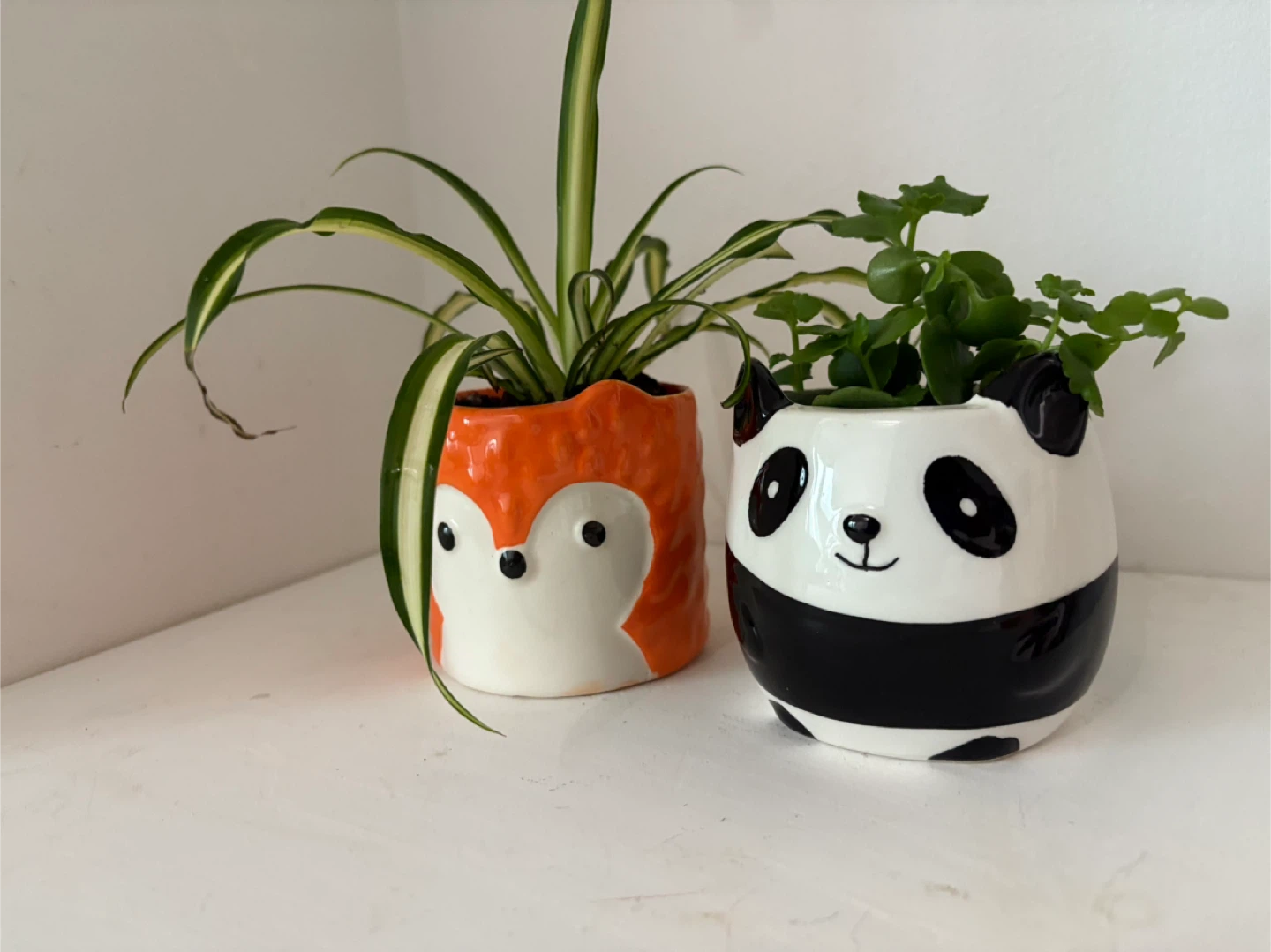 Two little cuties bringing good vibes into your home - photo 2