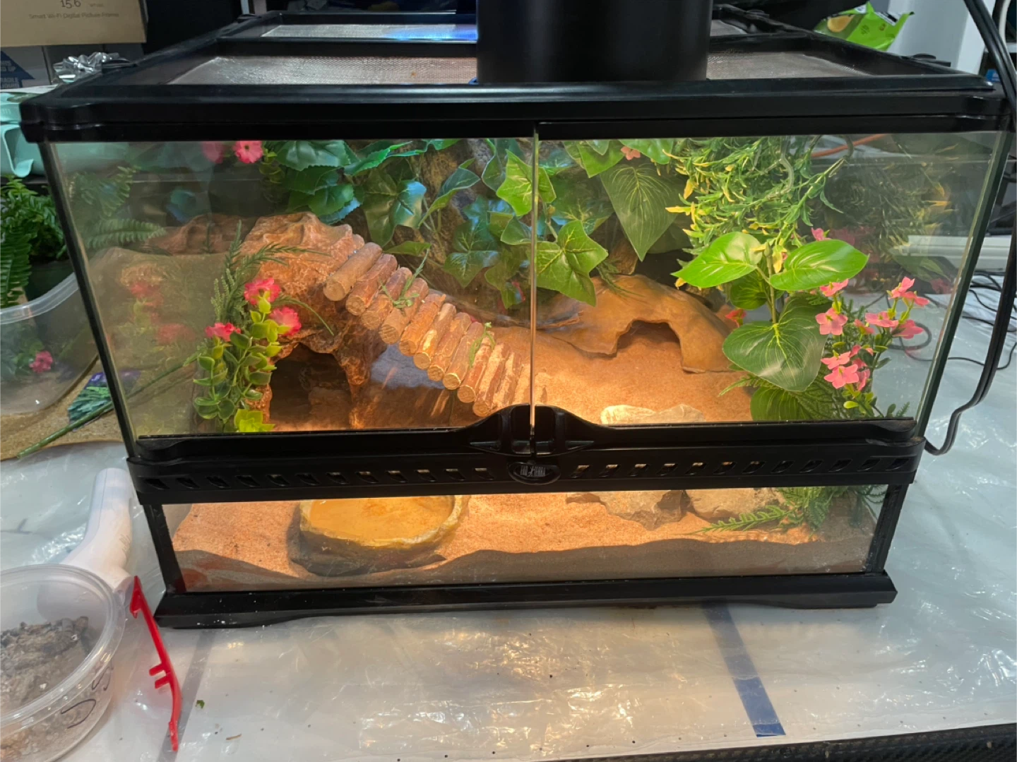 Leopard gecko enclosed terrarium all included - photo 3