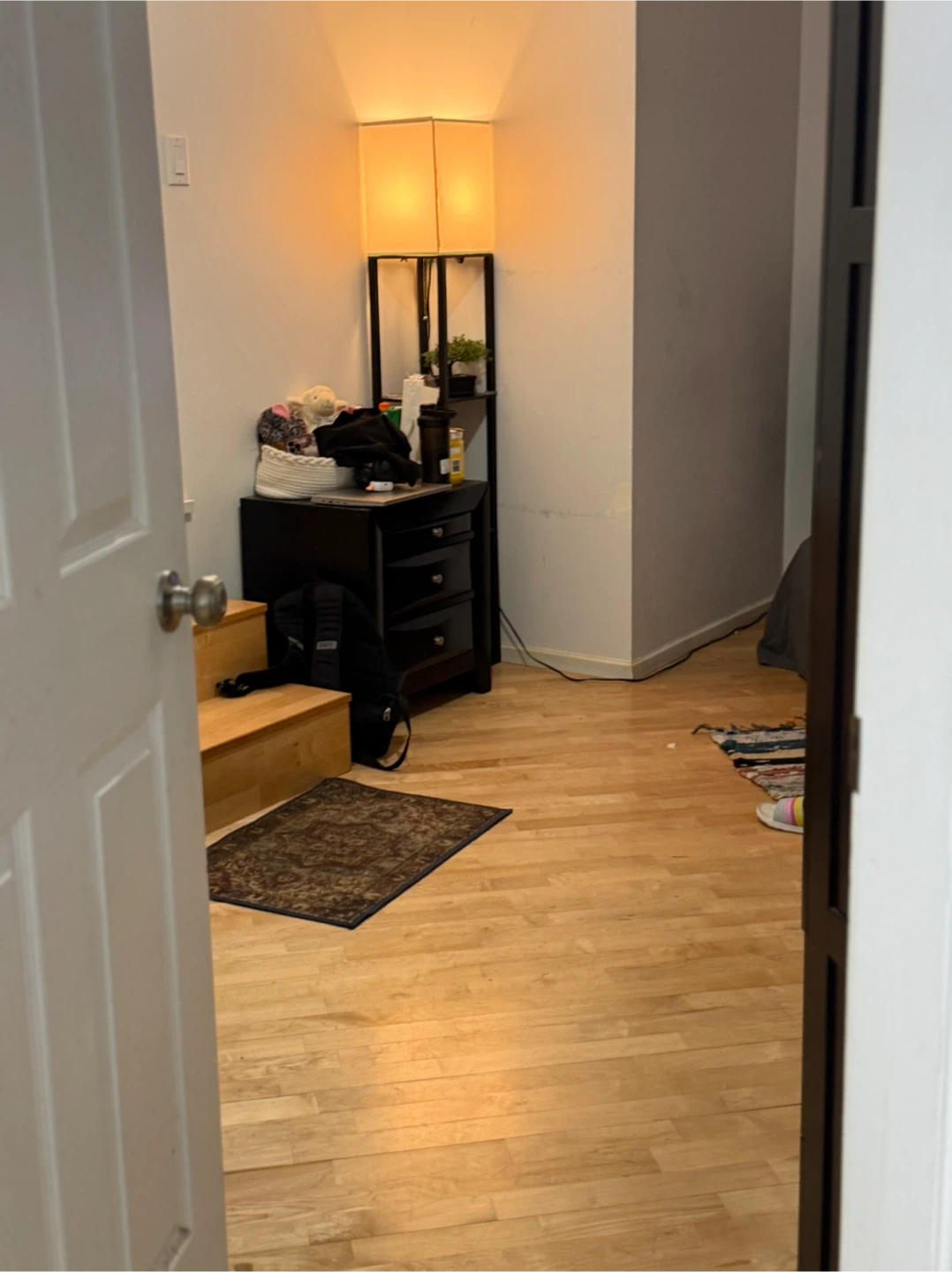 Two bedroom +den room basement