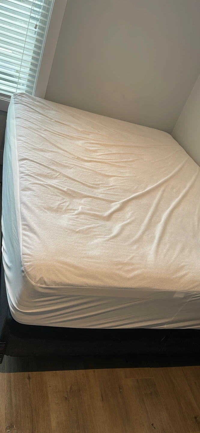 Queen Box Spring & Mattress Set – Clean, Good Condition - photo 3