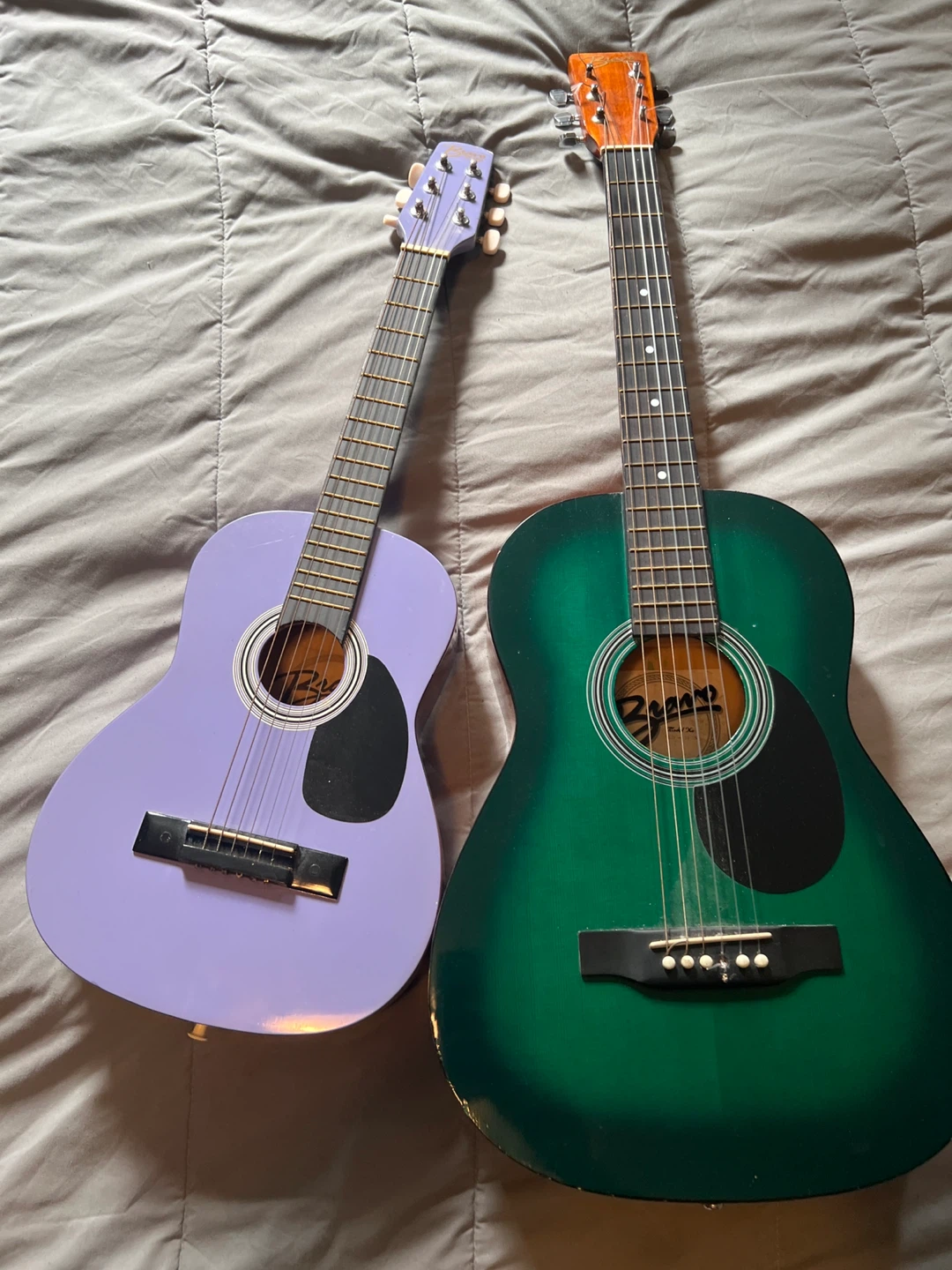 Bravo Acoustic Guitars (Purple & Green)