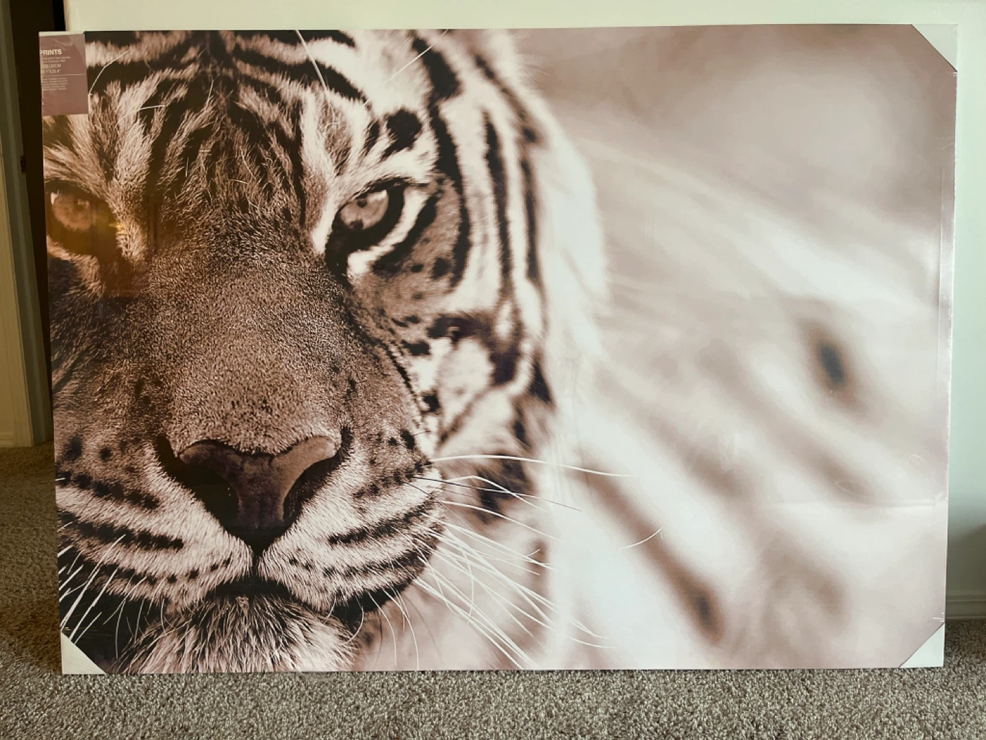 Canvas Print 140x100CM Tiger Face