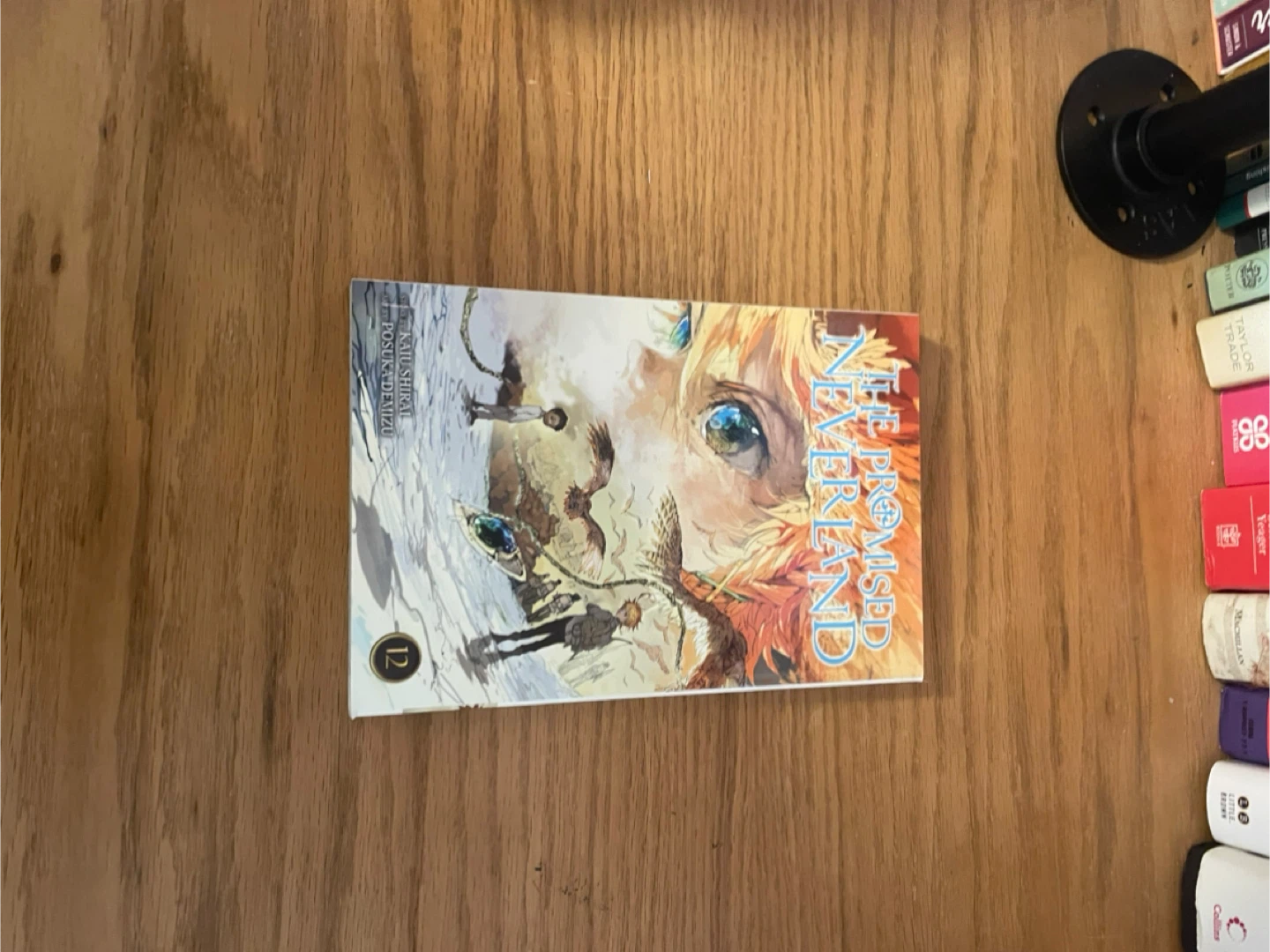 Volumes 11 and 12 The Promised Neverland Manga - photo 2