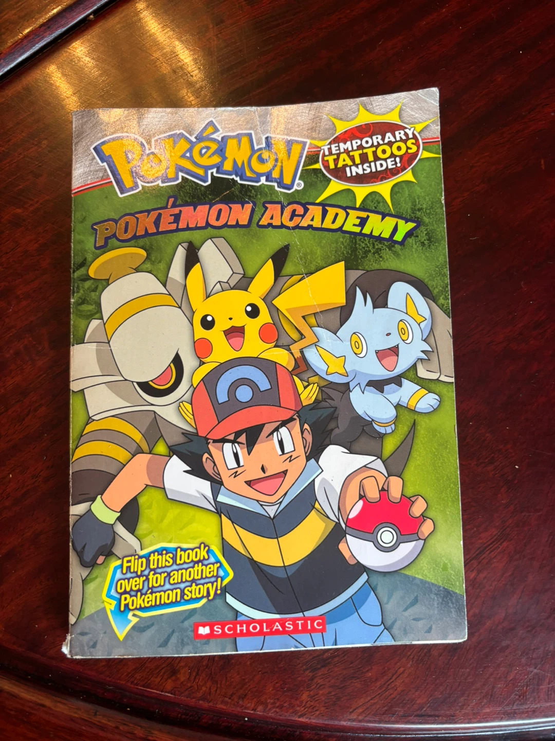 Pokémon The Lost Riolu & Pokémon Academy Book