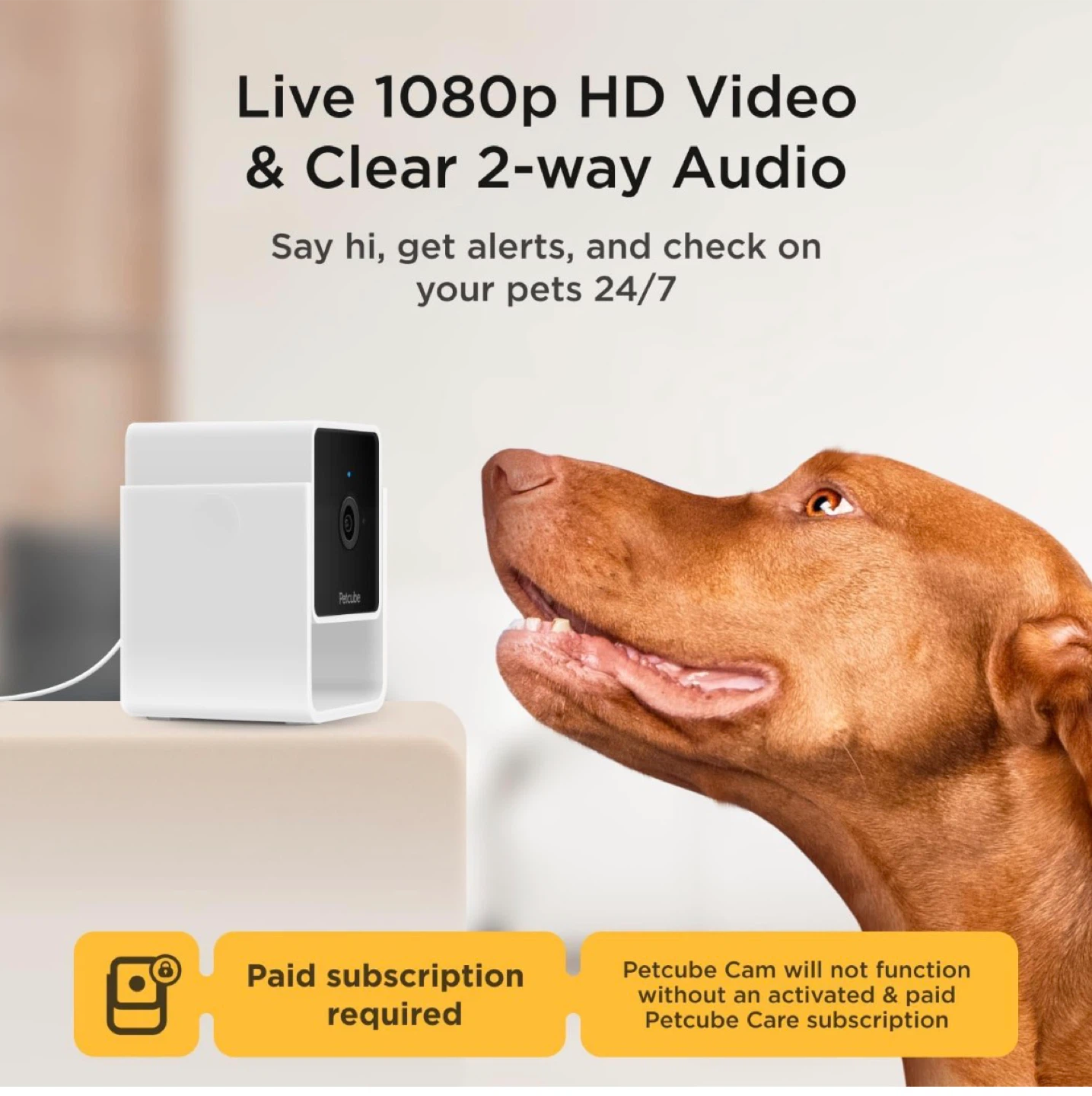 Petcube Pet Camera with 1080p HD Video & 2-Way Audio - photo 4