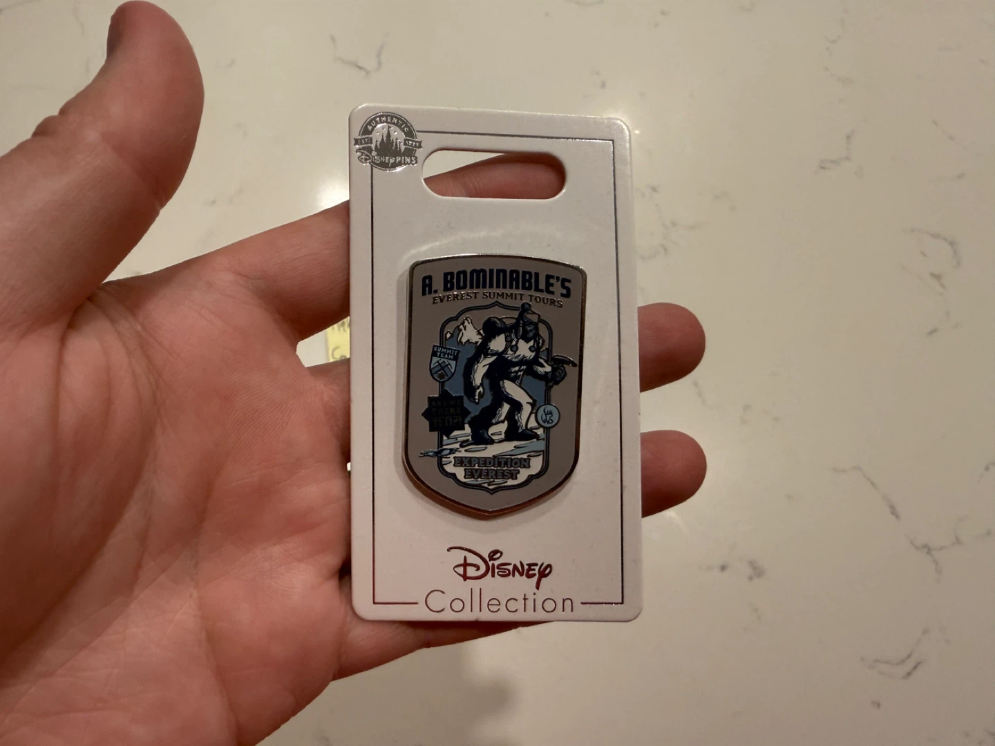 Walt Disney World Collection Pins - photo 4