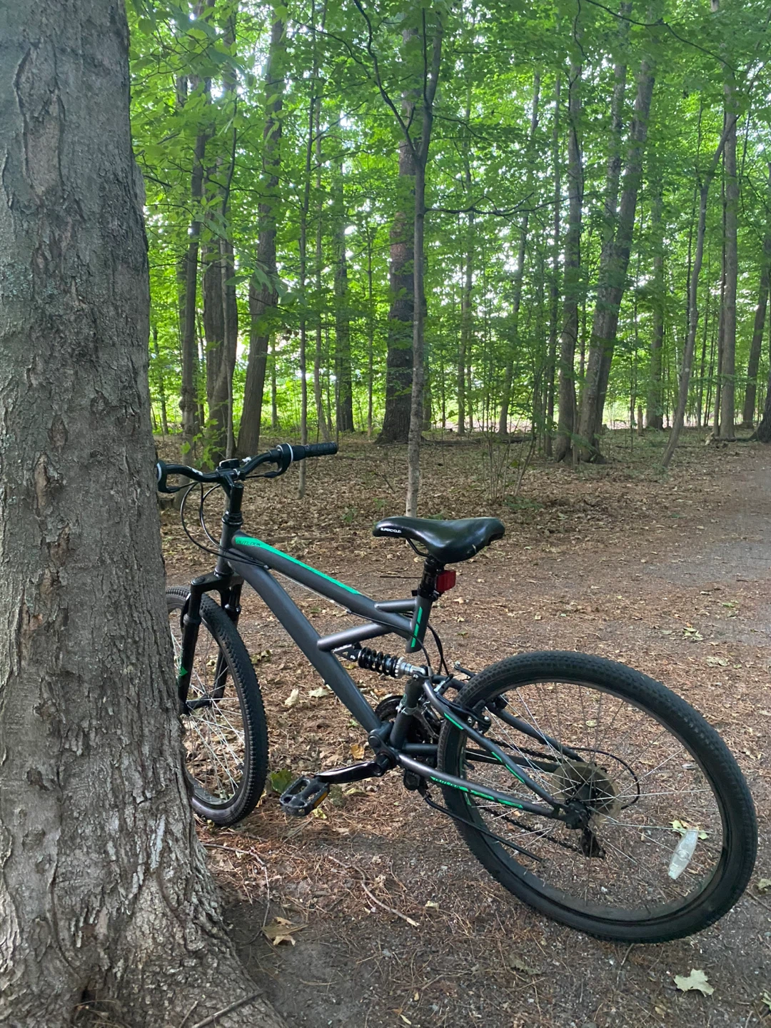 Supercycle Mountain Bike - photo 2