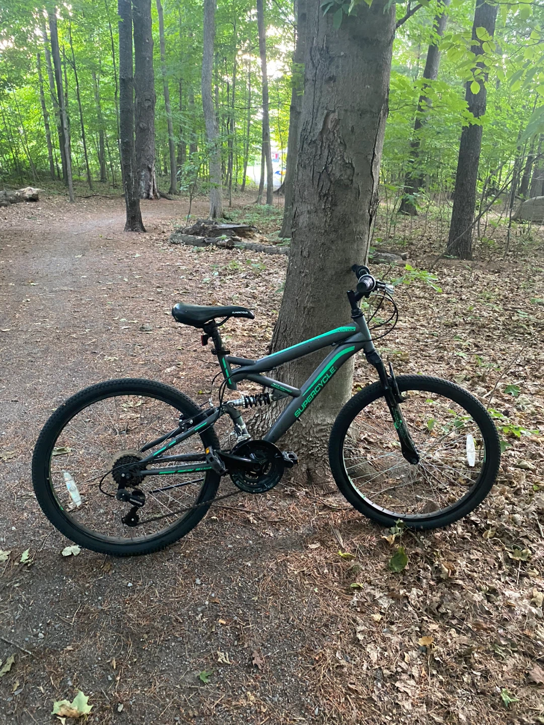 Supercycle Mountain Bike