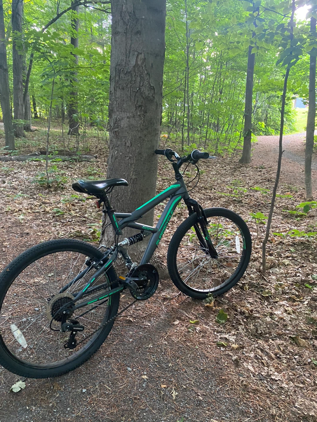 Supercycle Mountain Bike - photo 4