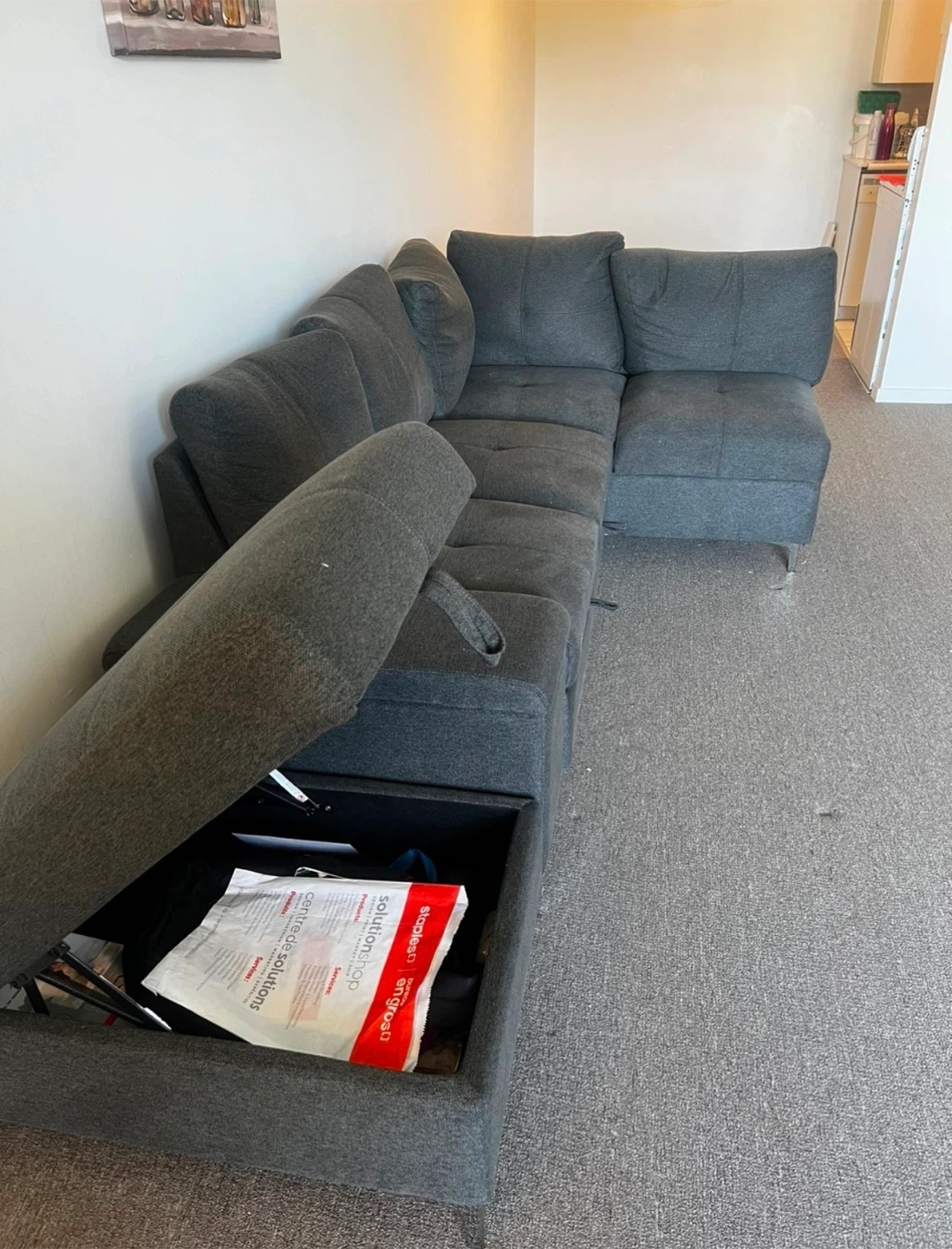 Grey Sectional Sofa with Storage and Pull-Out Bed - photo 4