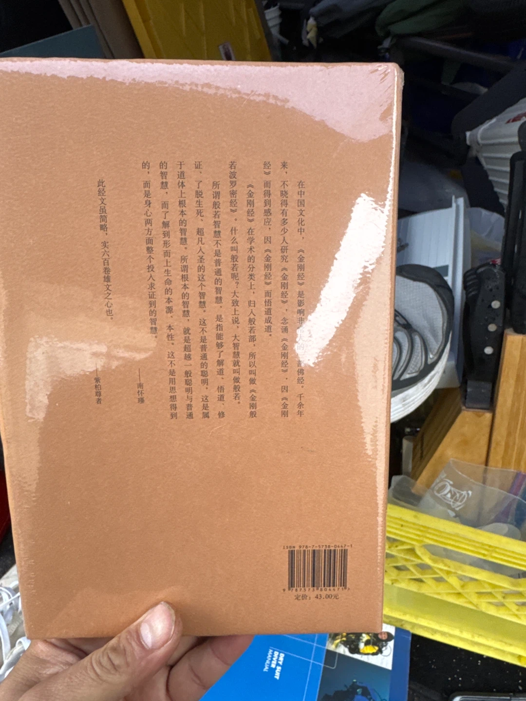 The Diamond Sutra and the Heart Sutra - Chinese Classic Edition - photo 2