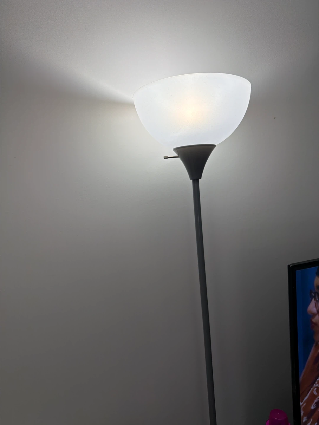 Black Floor Lamp with Frosted Shade - photo 4