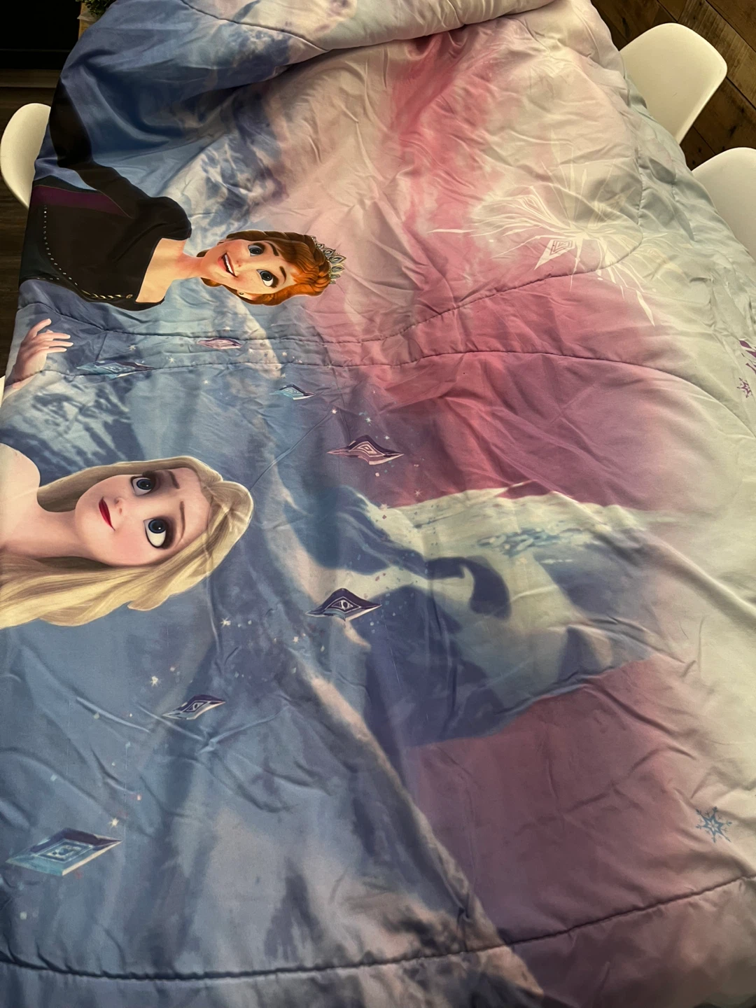 Frozen Elsa & Anna Twin Bedding Set - photo 2