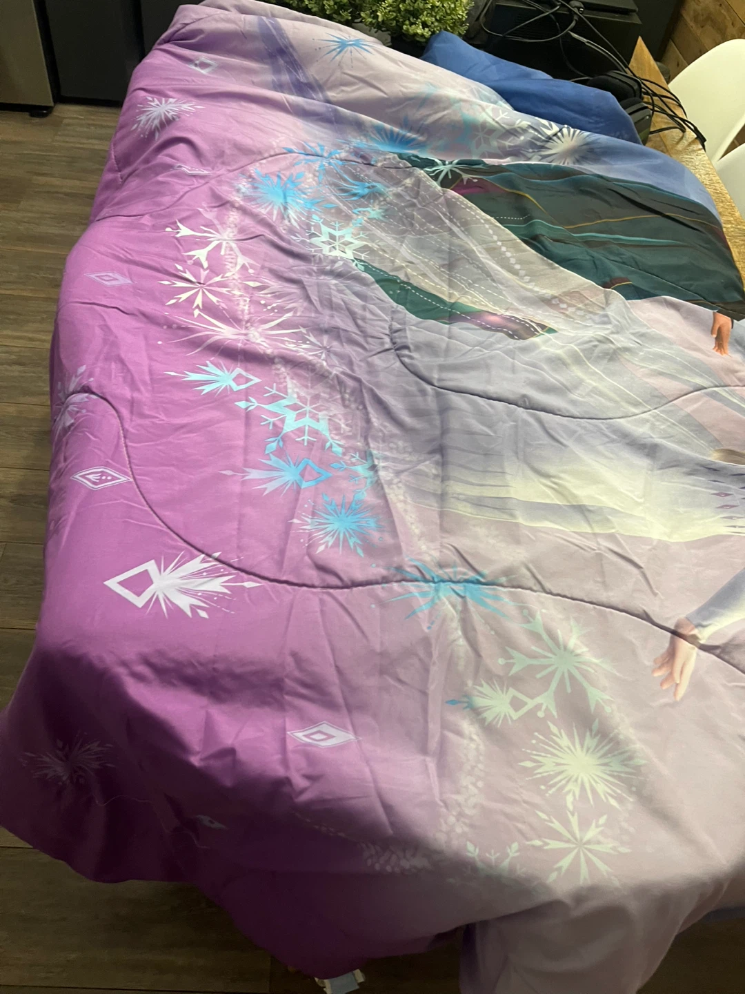 Frozen Elsa & Anna Twin Bedding Set - photo 3