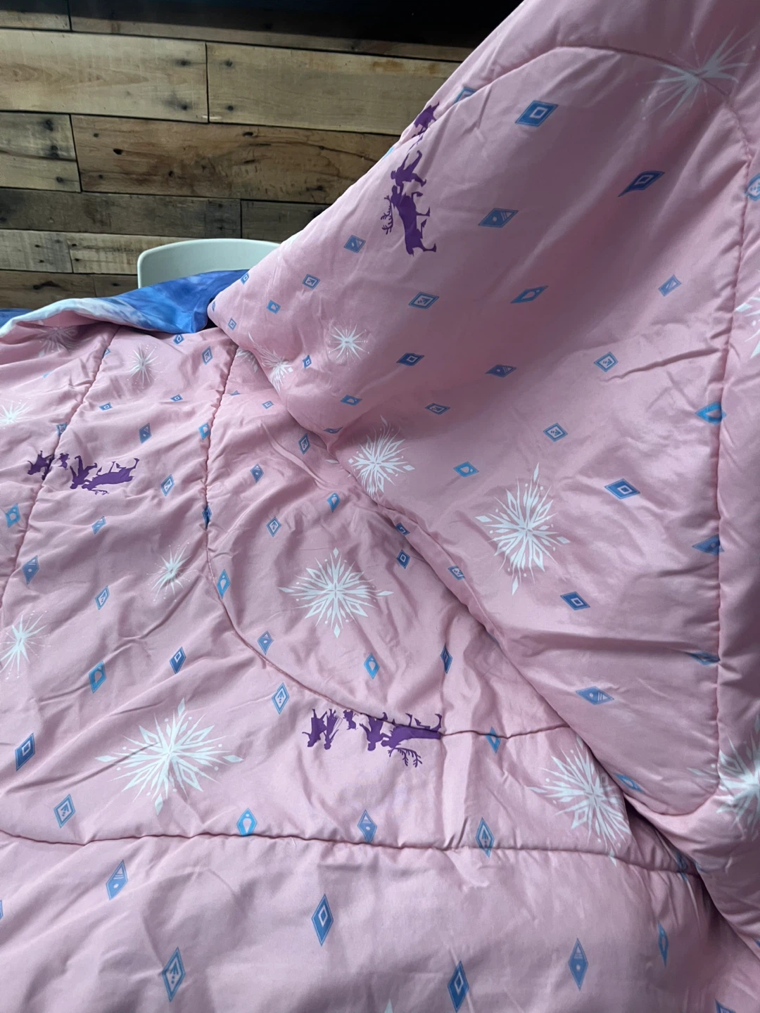Frozen Elsa & Anna Twin Bedding Set - photo 4