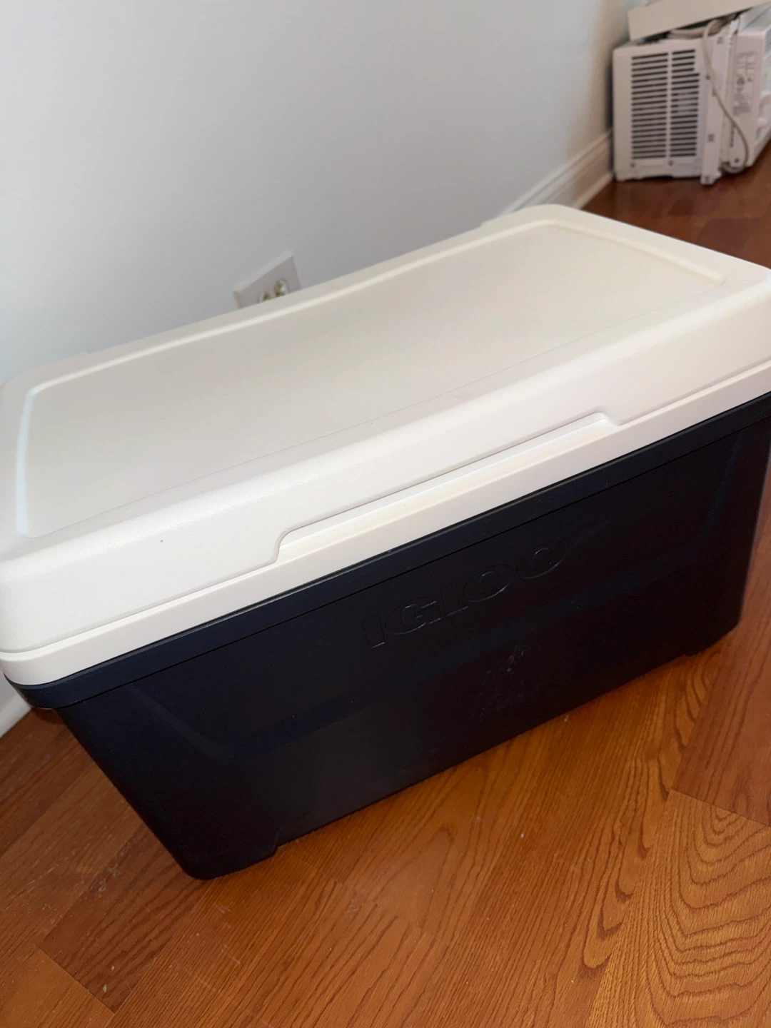 Igloo Cooler