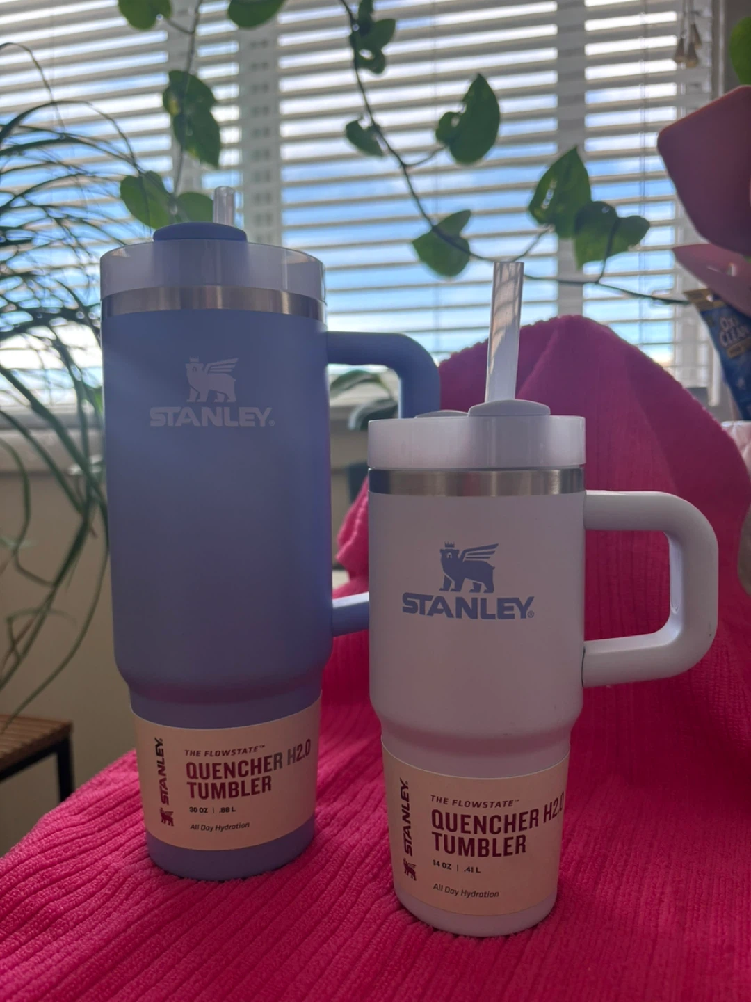 Stanley Quencher H2.0 Tumblers (Set of 2)