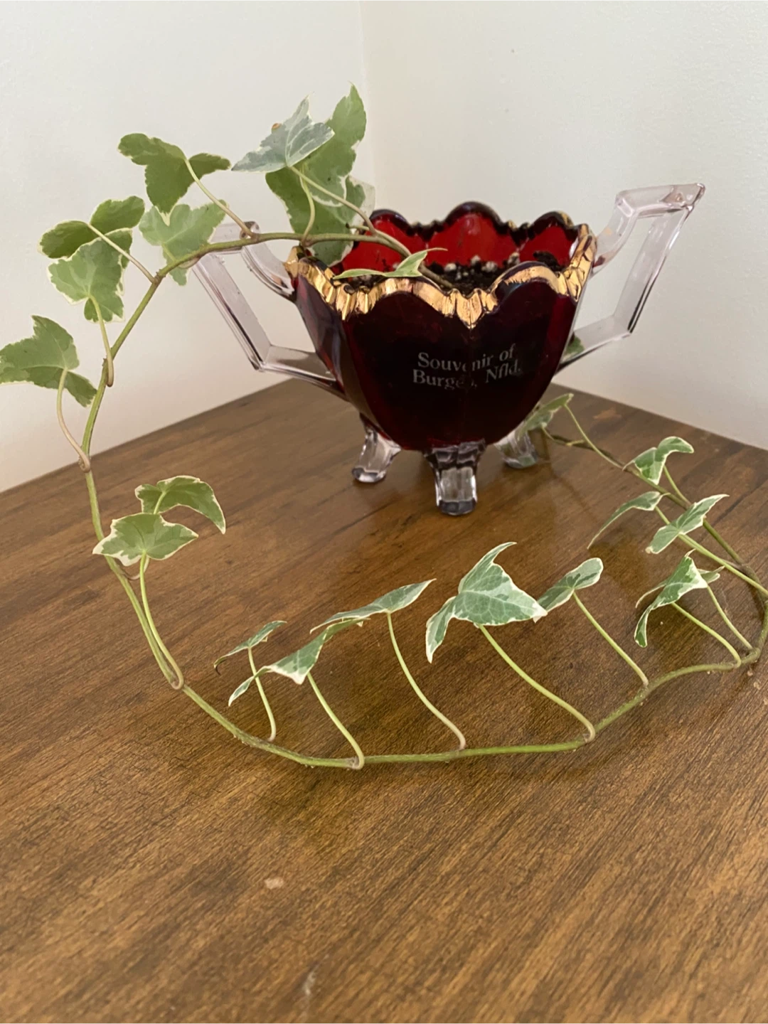 2 Ivy Plants in Vintage Glass Dishes - photo 2