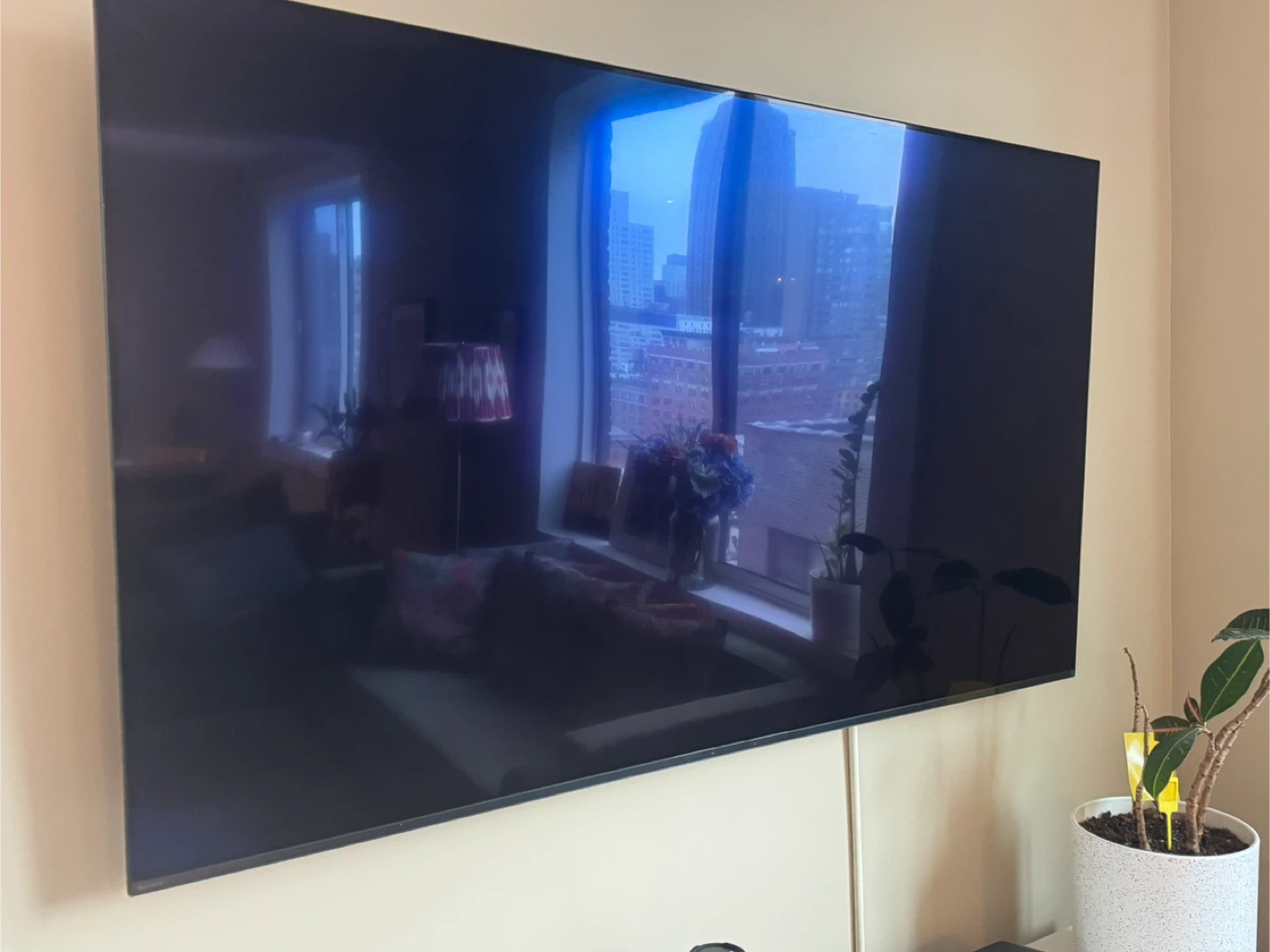 Sony Bravia 65"