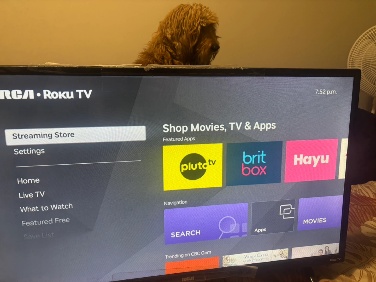 RCA Roku TV Smart Tv - photo 2