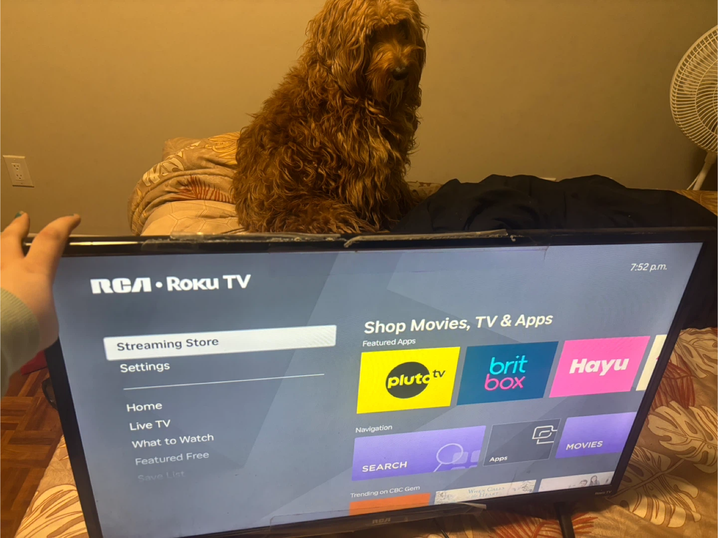 RCA Roku TV Smart Tv - photo 3